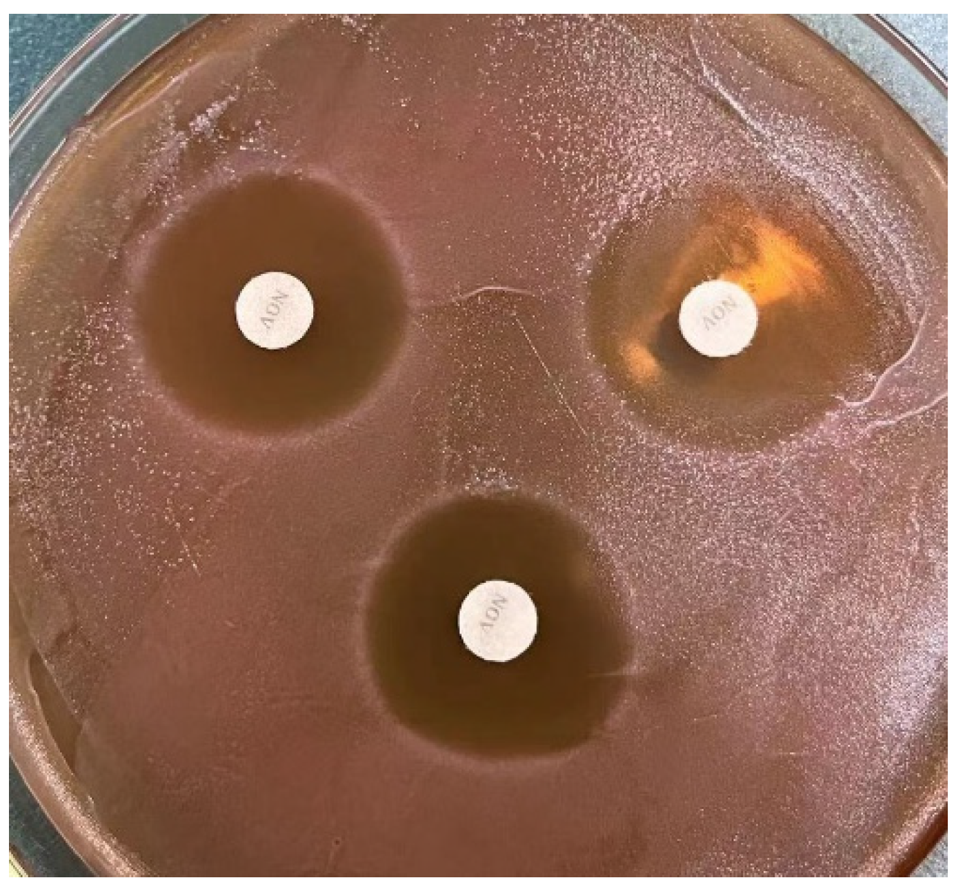 Foods 12 01628 g005 Foods 12 01628 g005