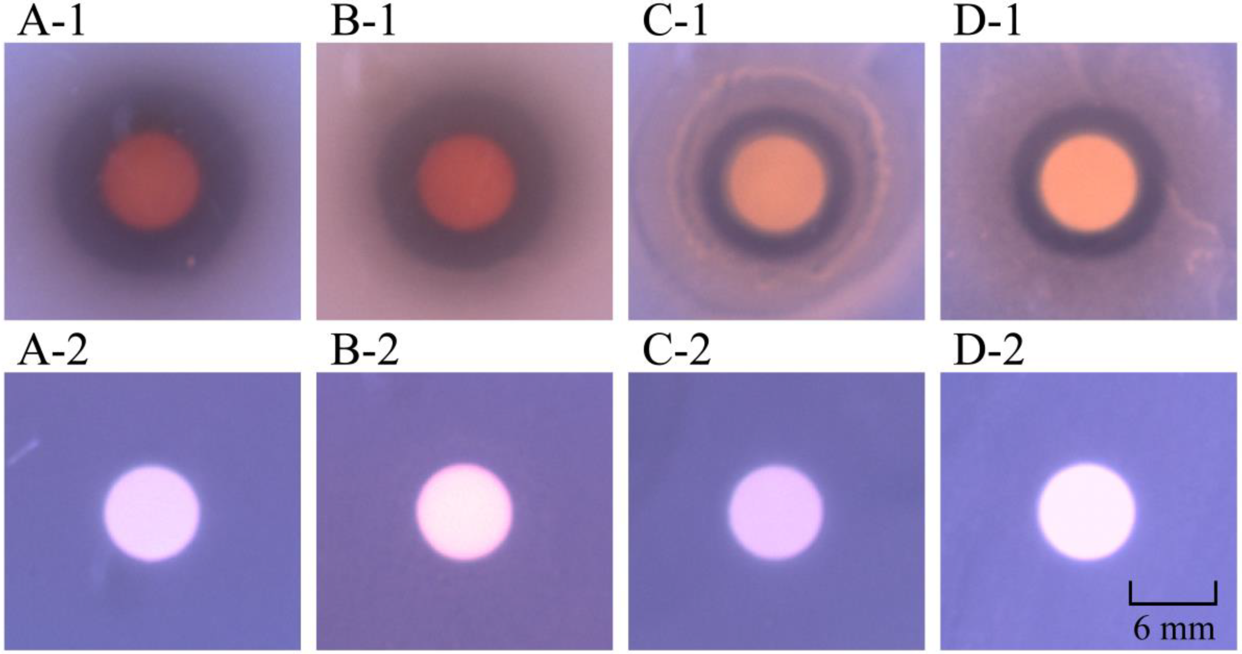 Foods 12 01640 g001 Foods 12 01640 g001