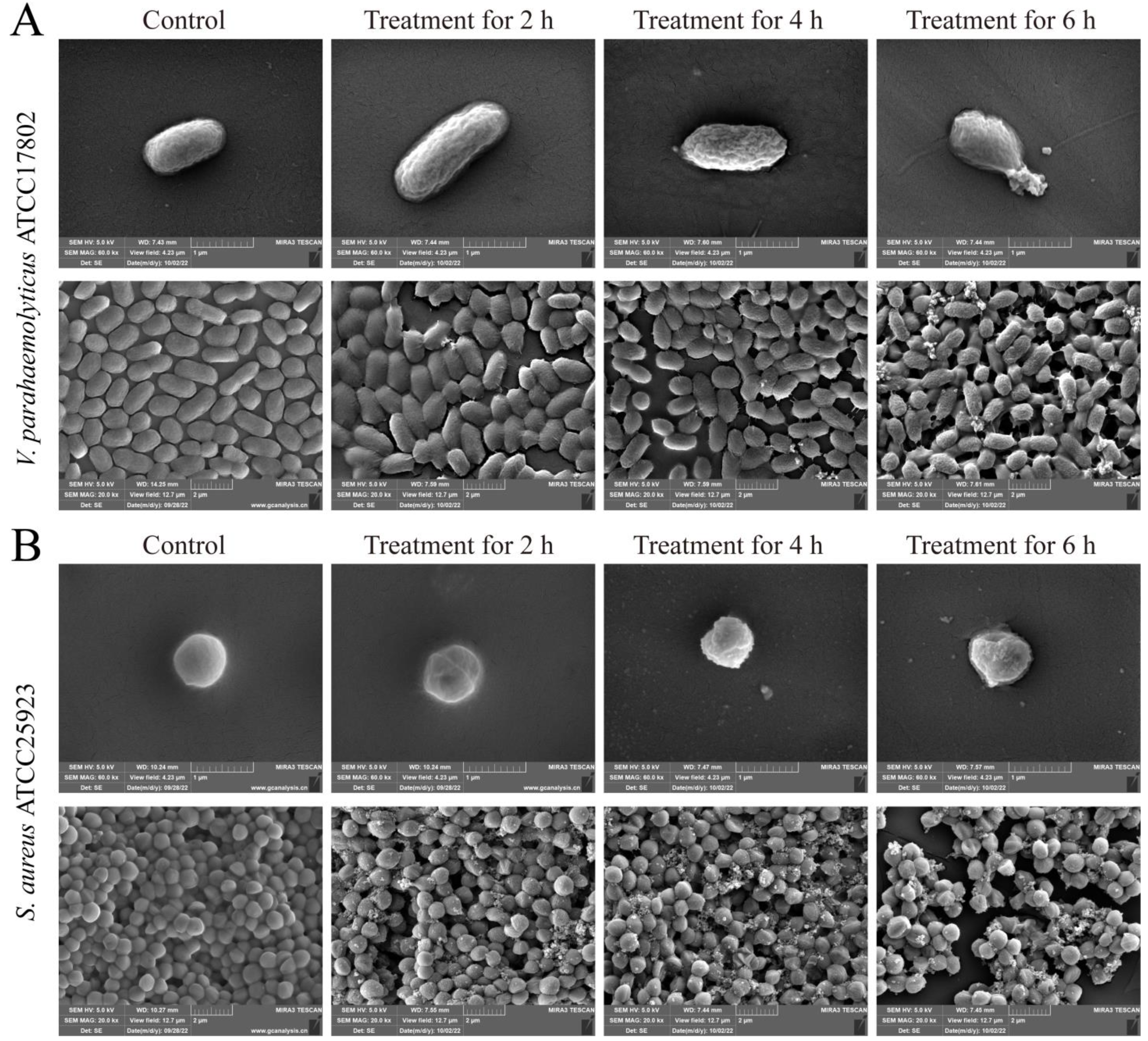 Foods 12 01640 g004 Foods 12 01640 g004