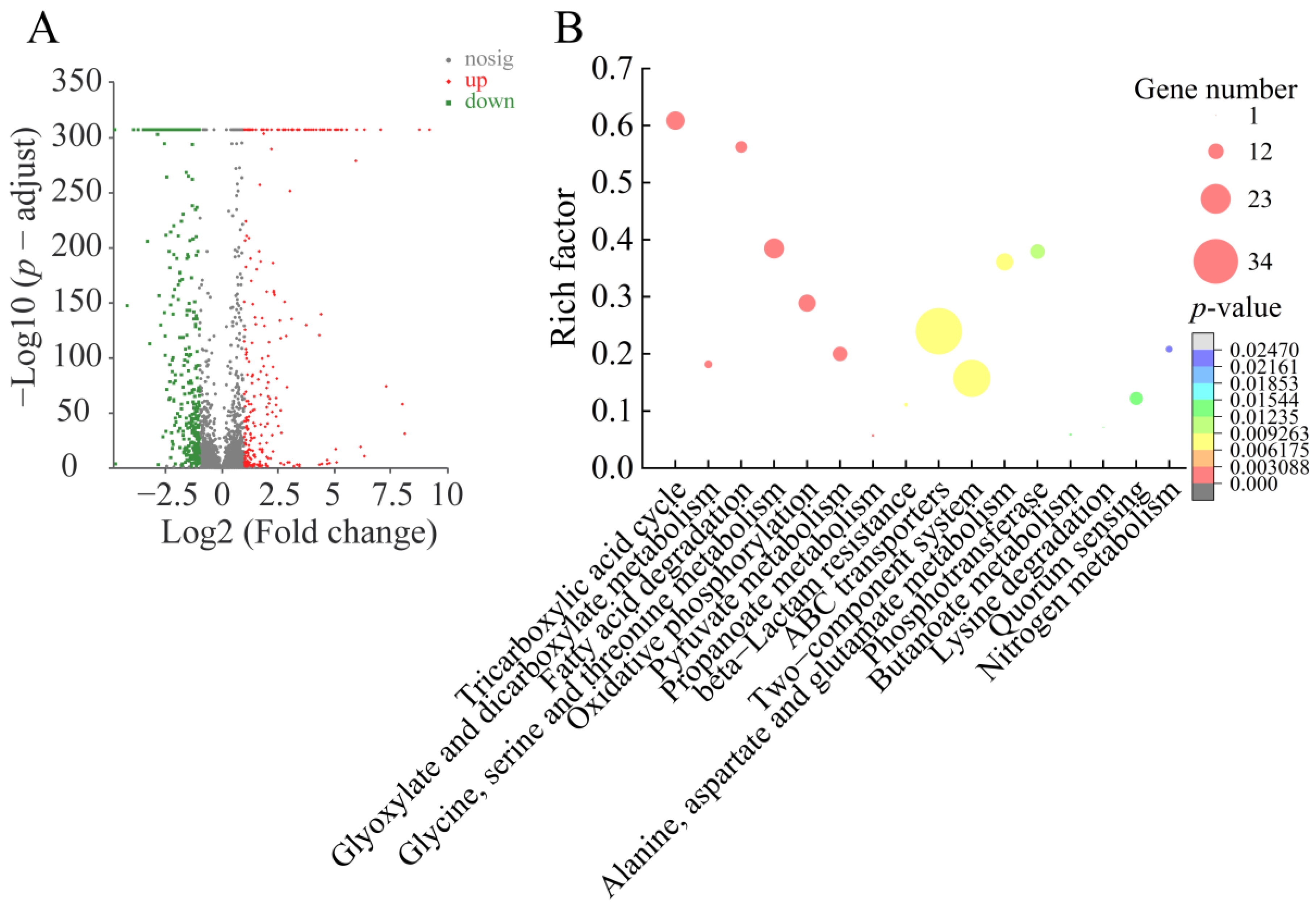 Foods 12 01640 g005 Foods 12 01640 g005