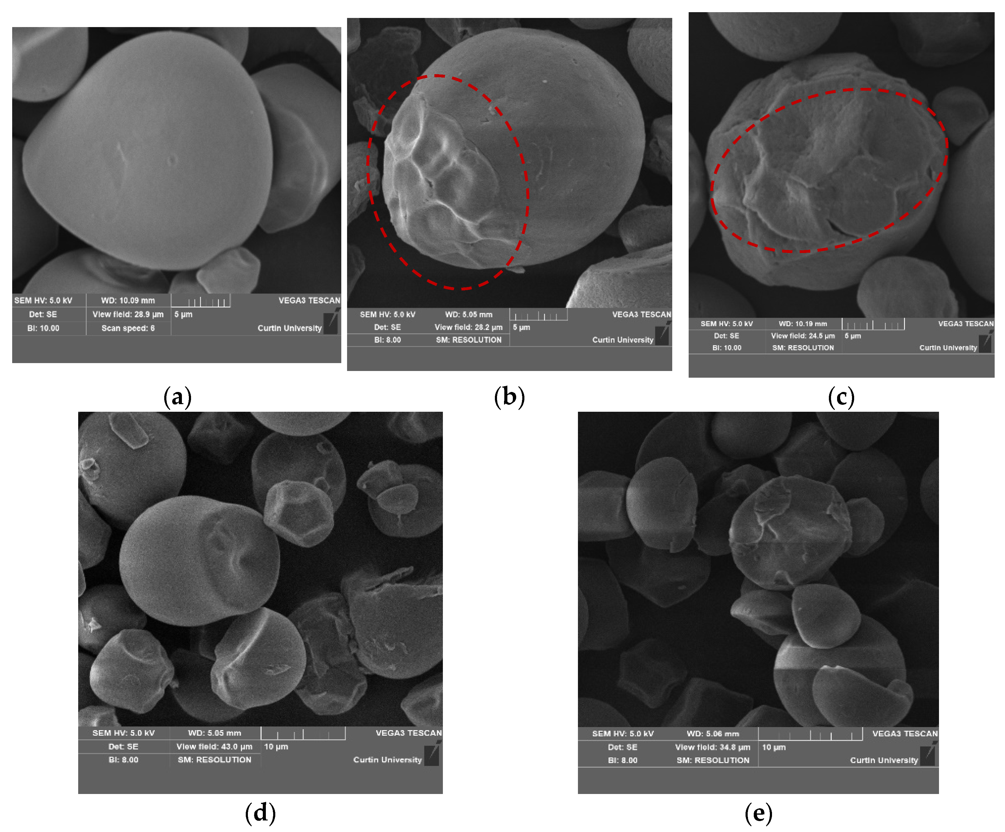 Foods 12 01662 g001a Foods 12 01662 g001a