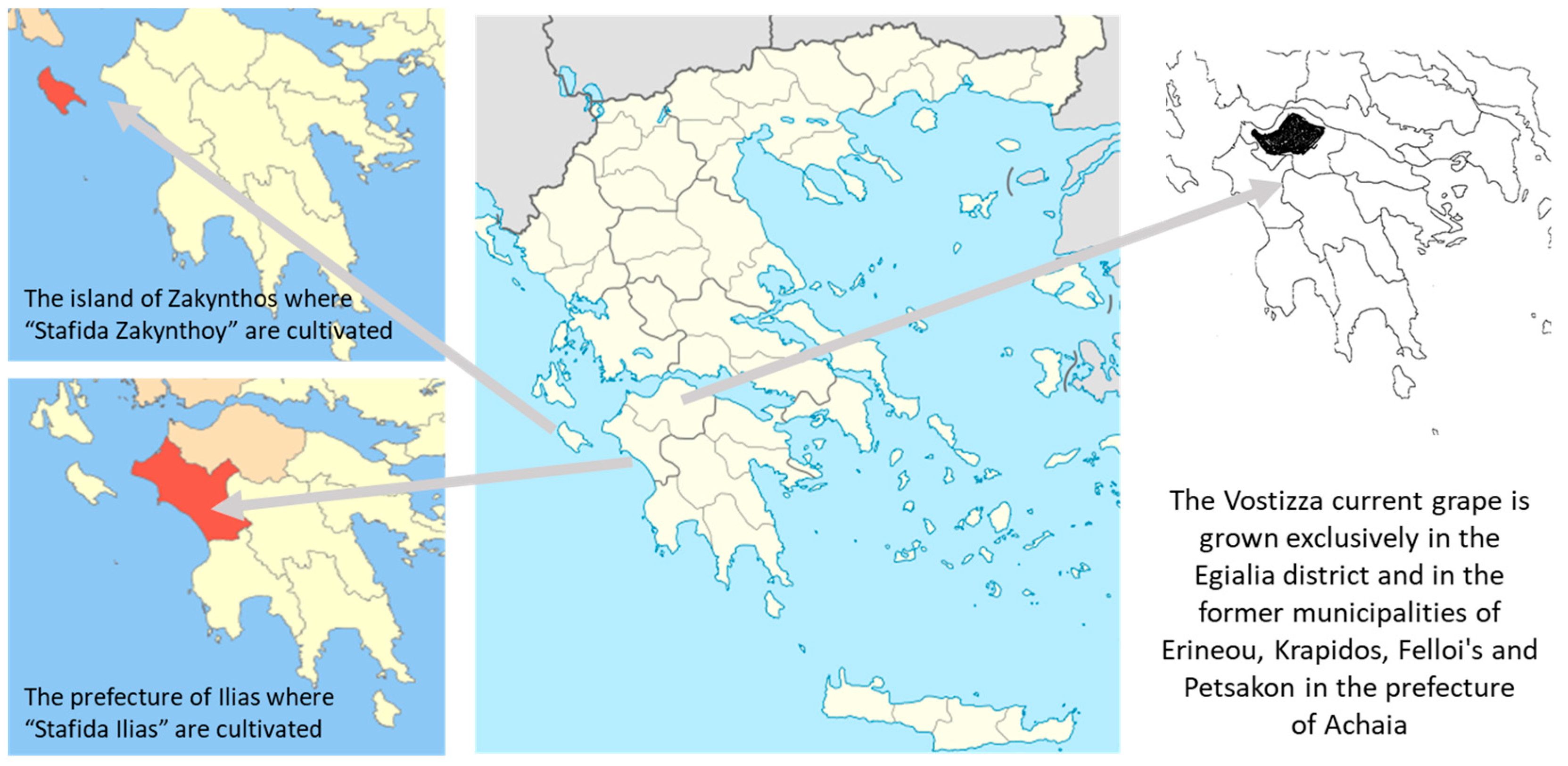 Foods 12 01672 g001 Foods 12 01672 g001