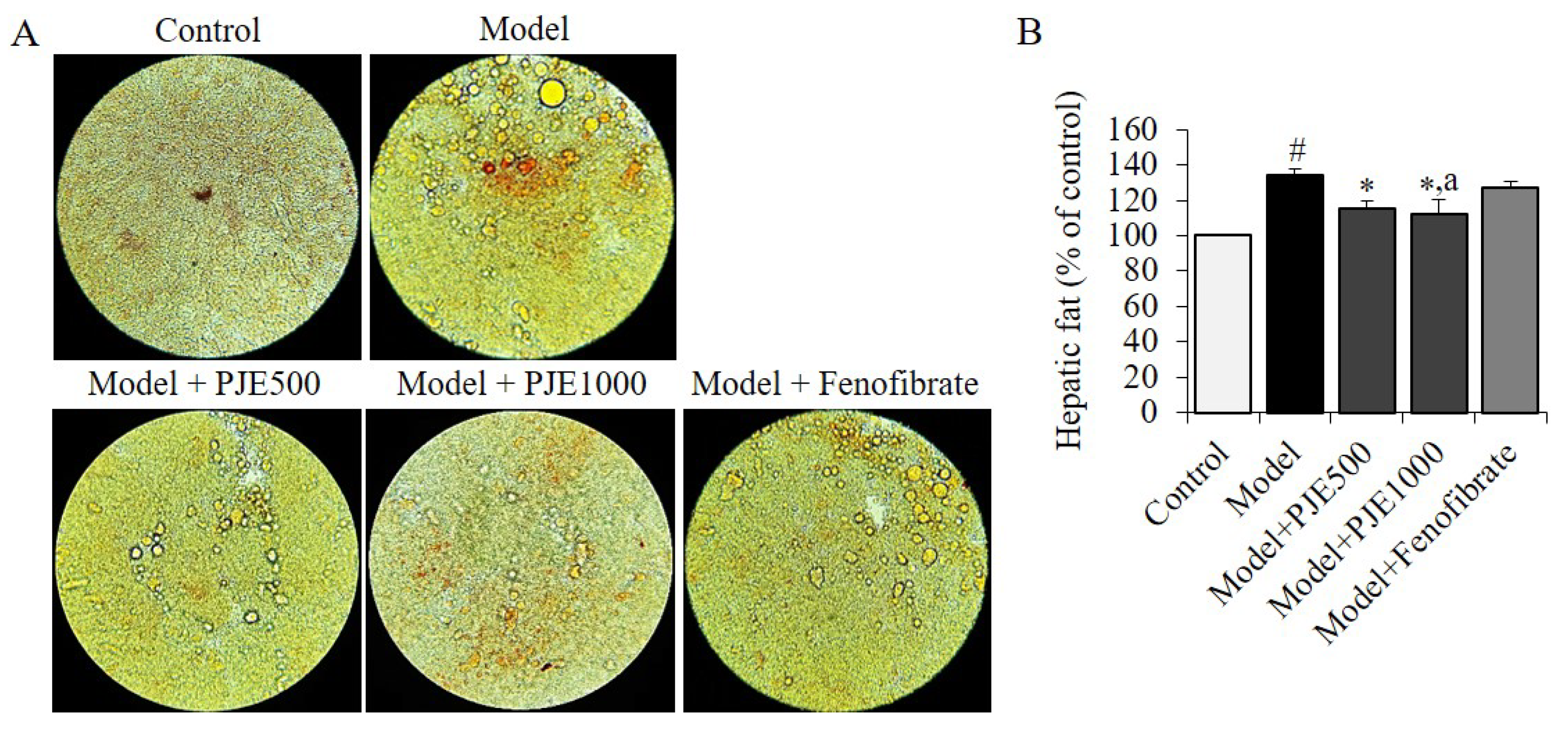 Foods 12 01675 g004 Foods 12 01675 g004