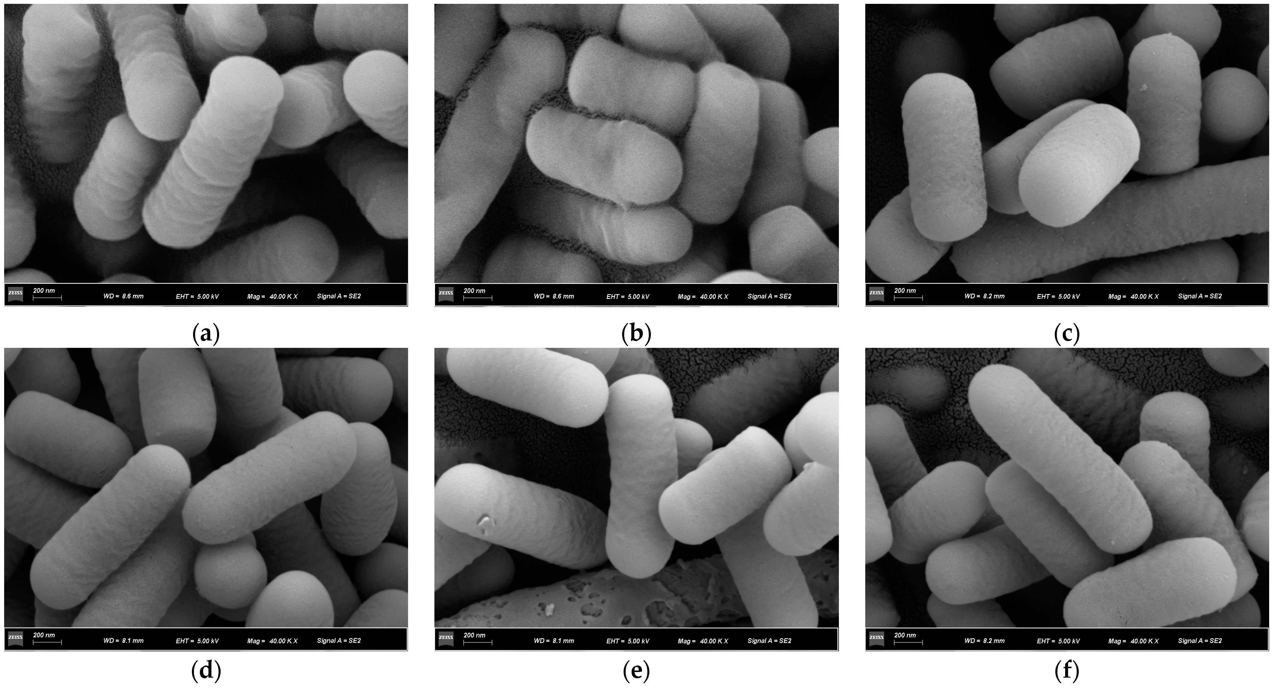 Foods 12 01676 g005 Foods 12 01676 g005