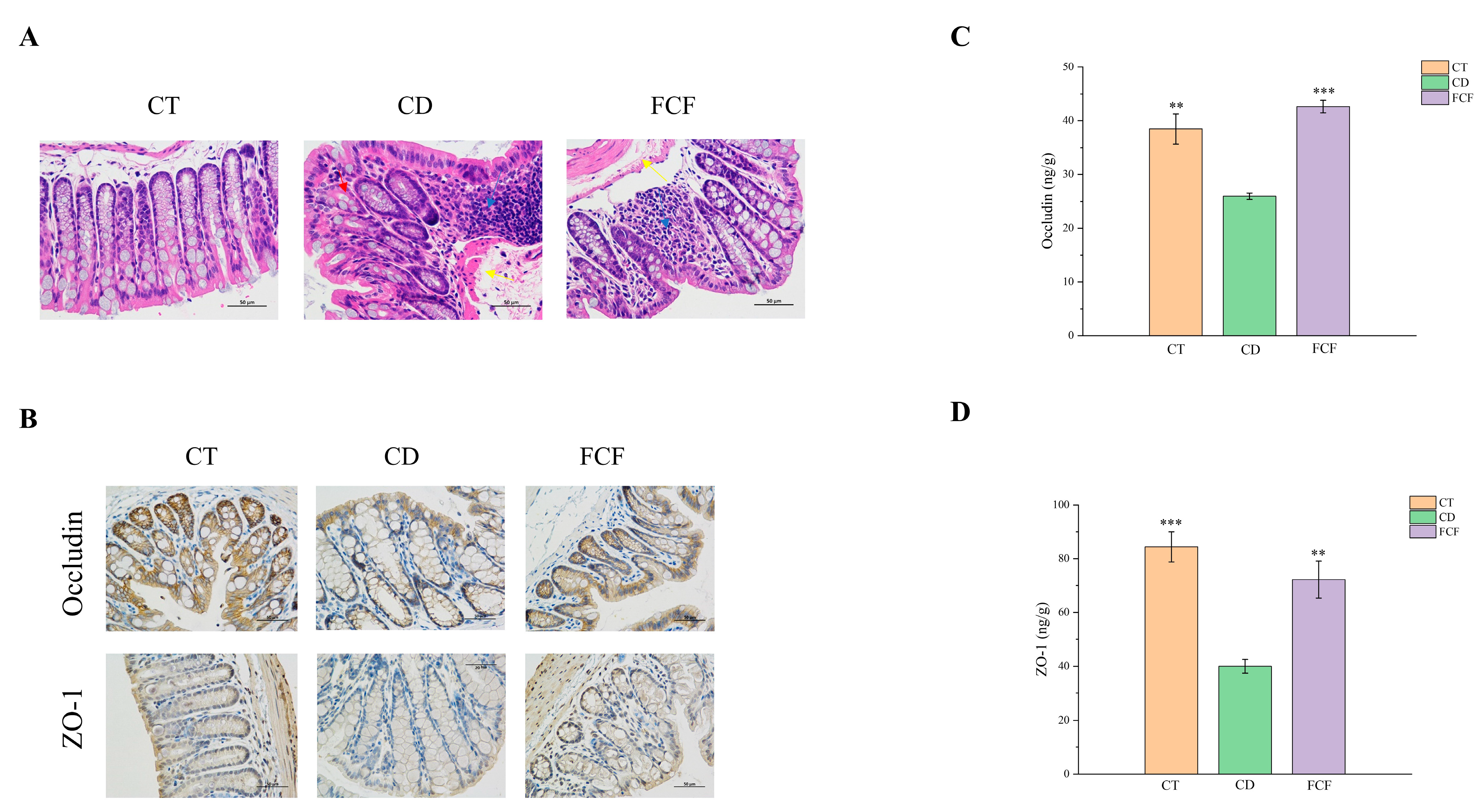 Foods 12 01682 g002 Foods 12 01682 g002