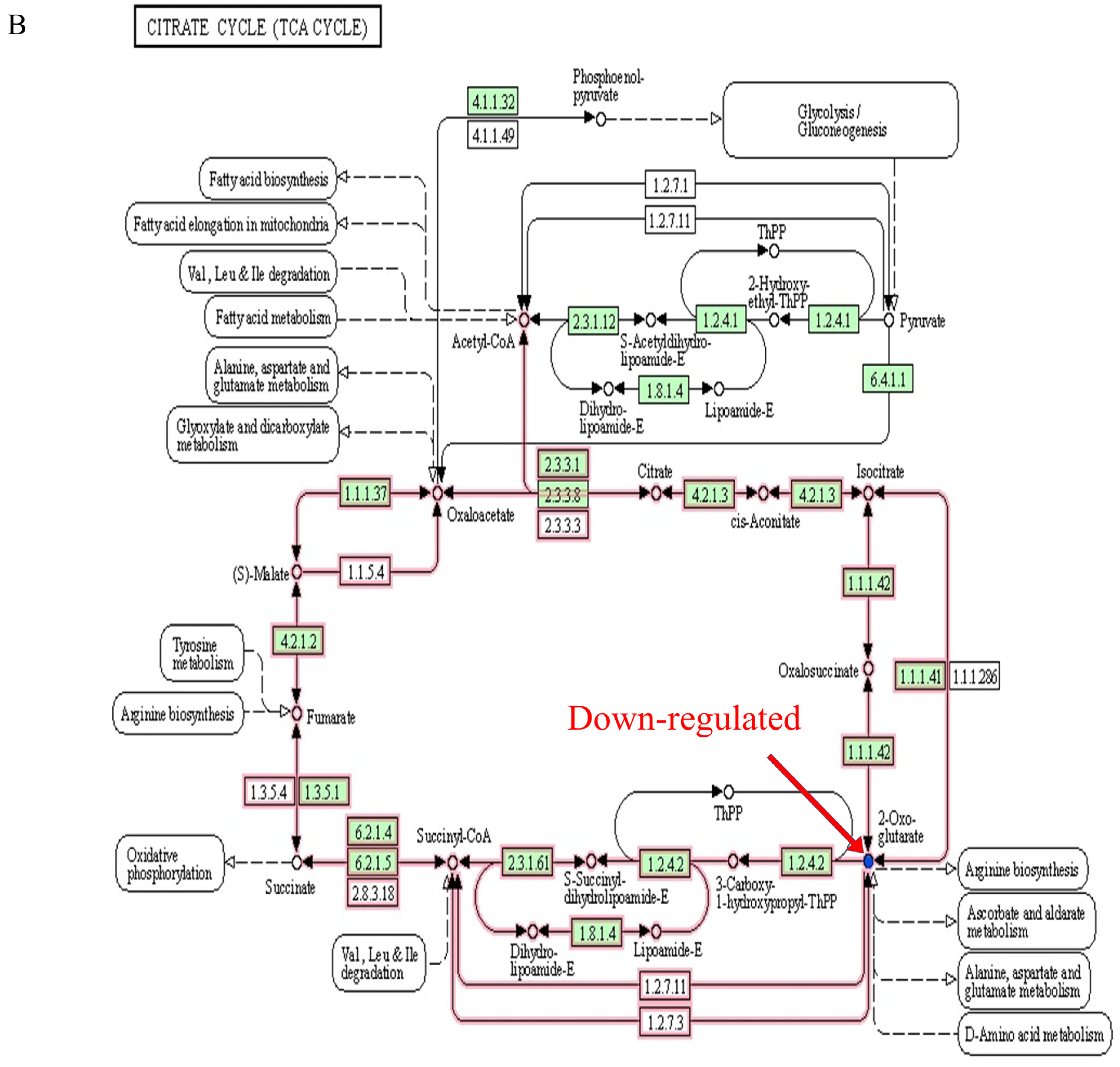 Foods 12 01687 g006b Foods 12 01687 g006b