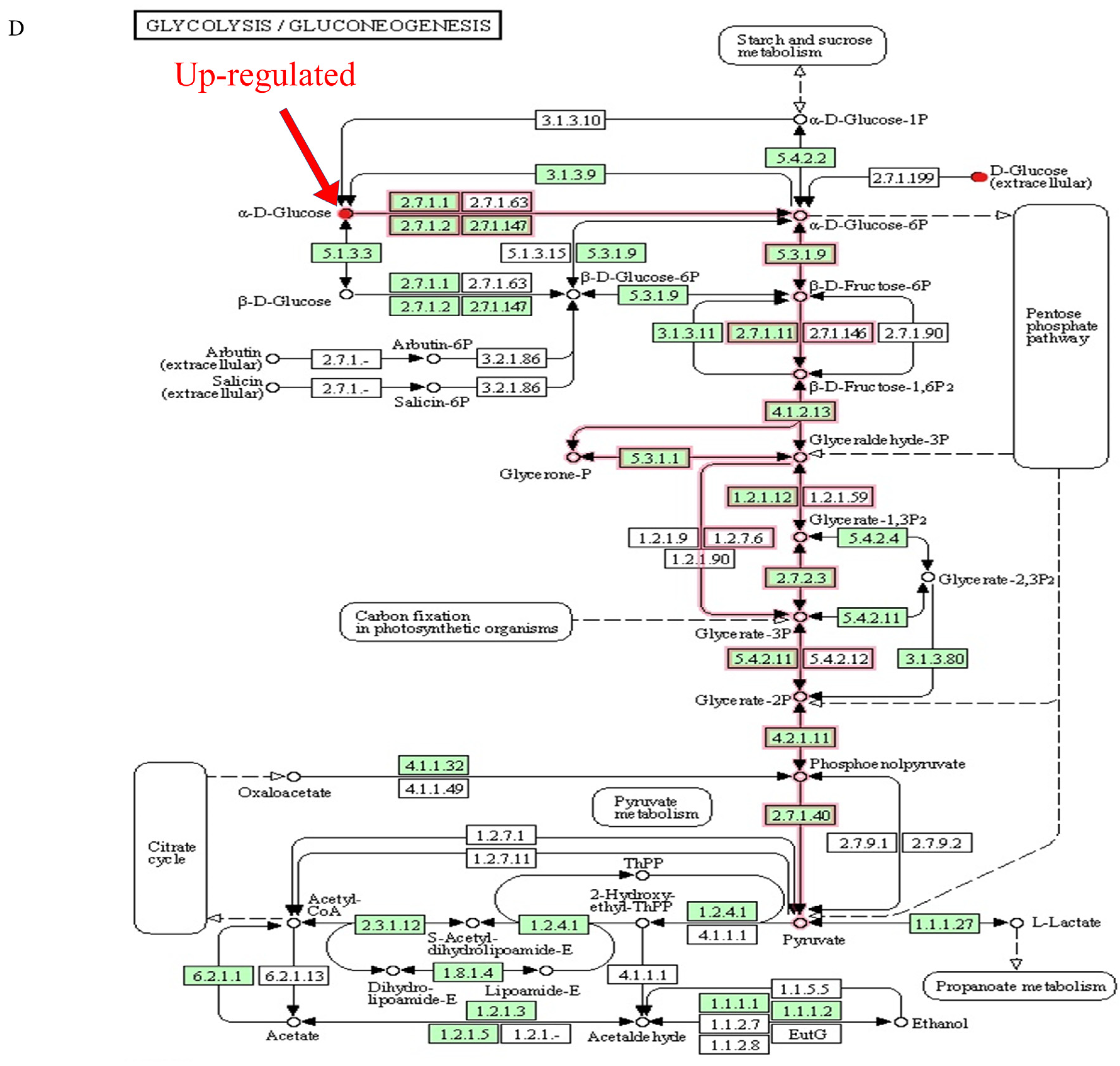 Foods 12 01687 g006d Foods 12 01687 g006d