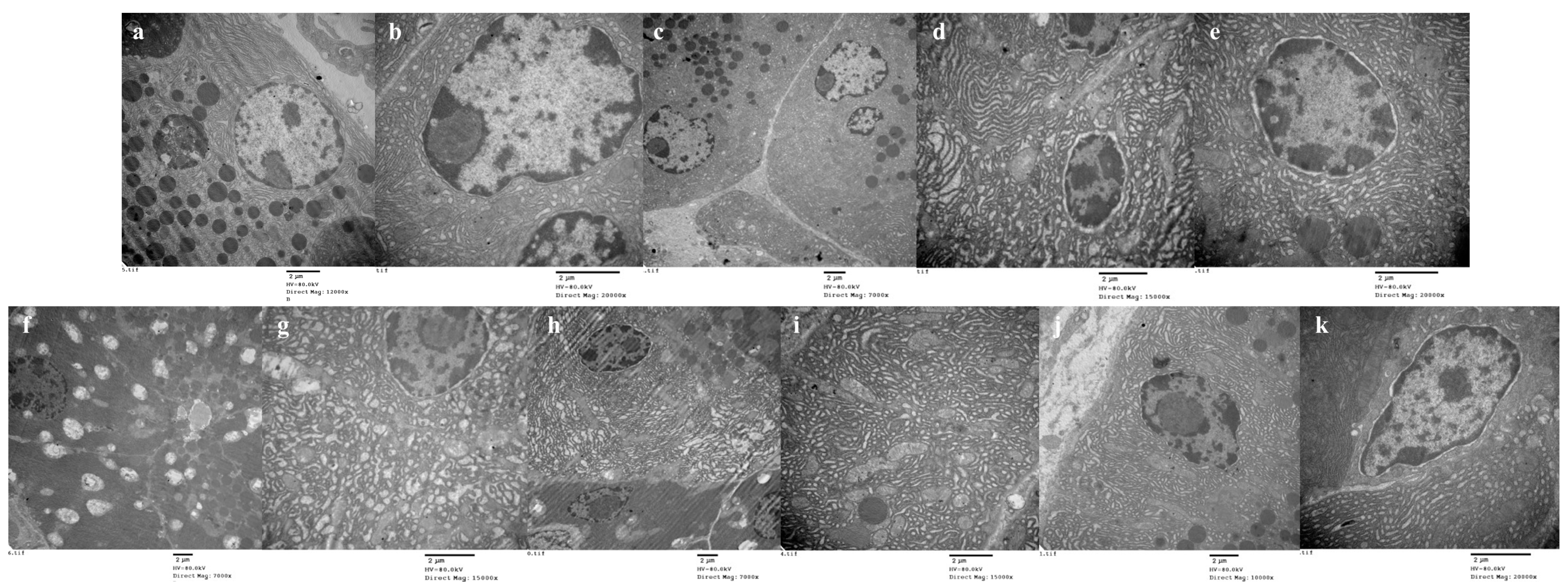 Foods 12 01691 g002 Foods 12 01691 g002