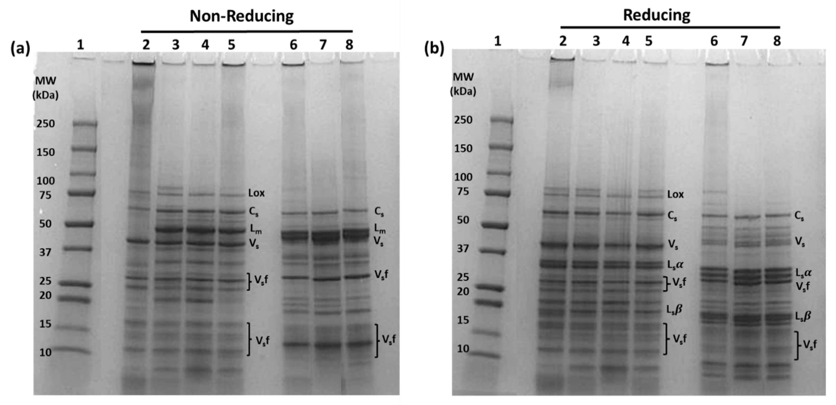 Foods 12 01694 g001 Foods 12 01694 g001
