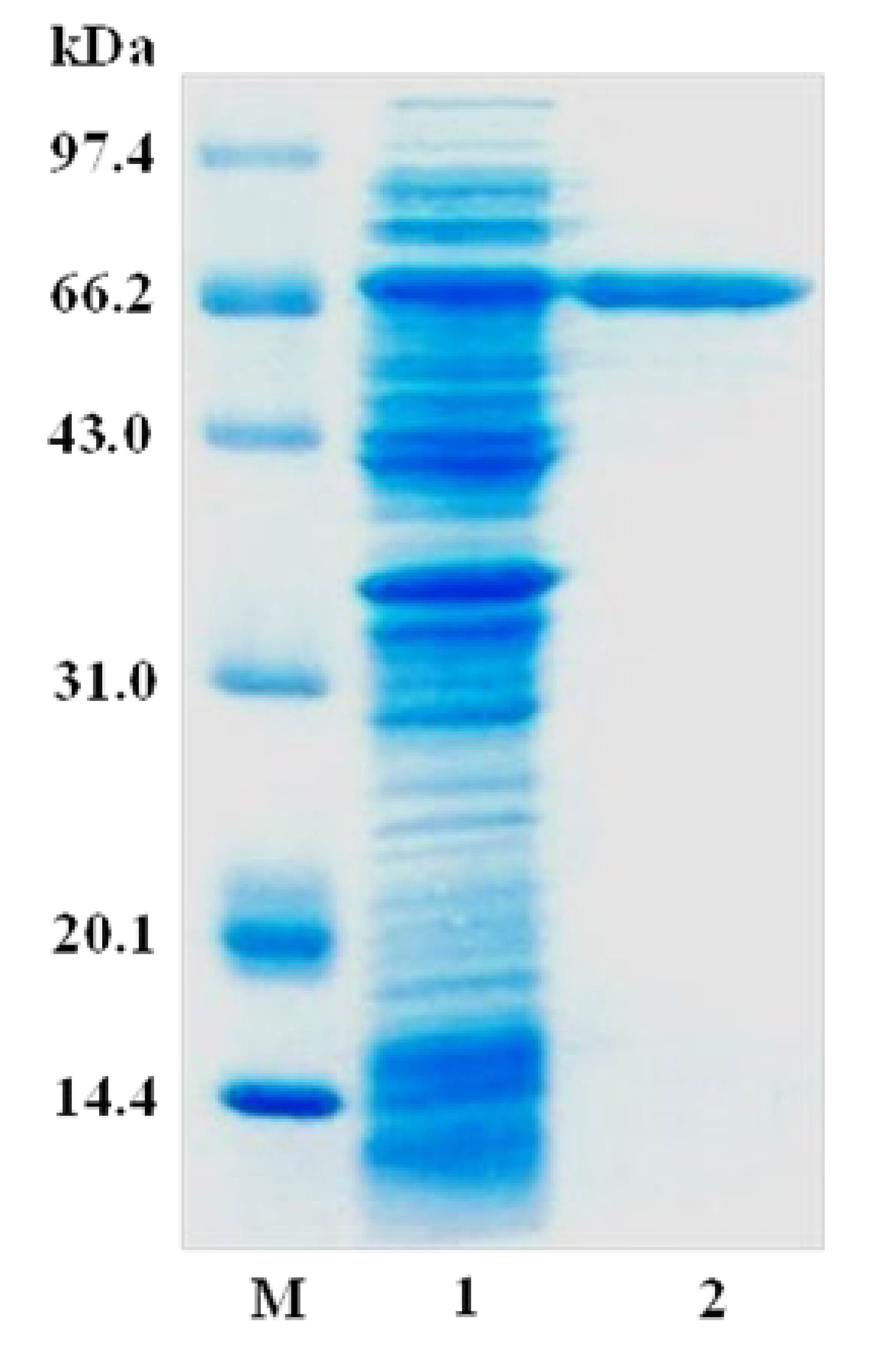 Foods 12 01704 g002 Foods 12 01704 g002