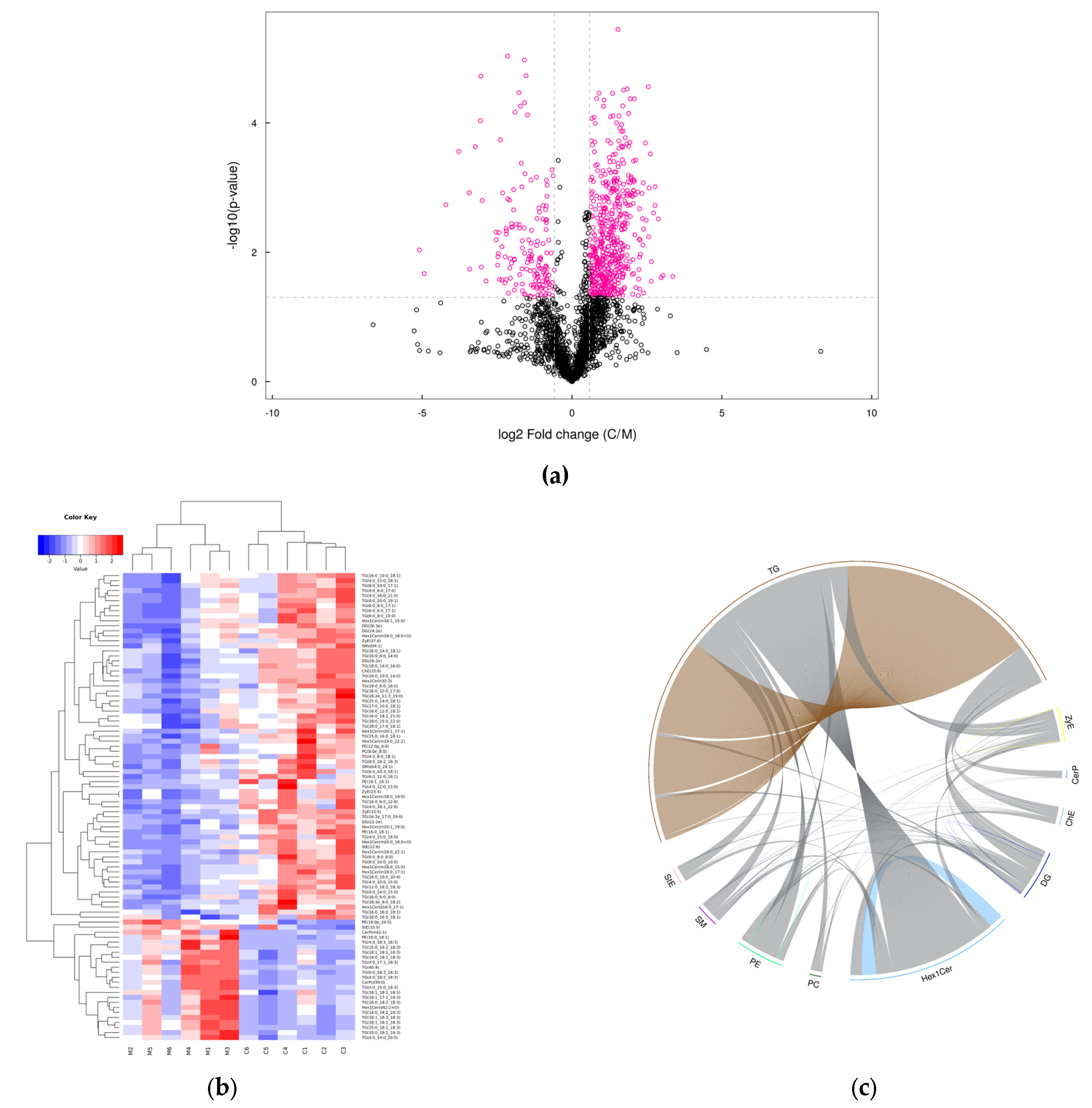 Foods 12 01707 g003 Foods 12 01707 g003