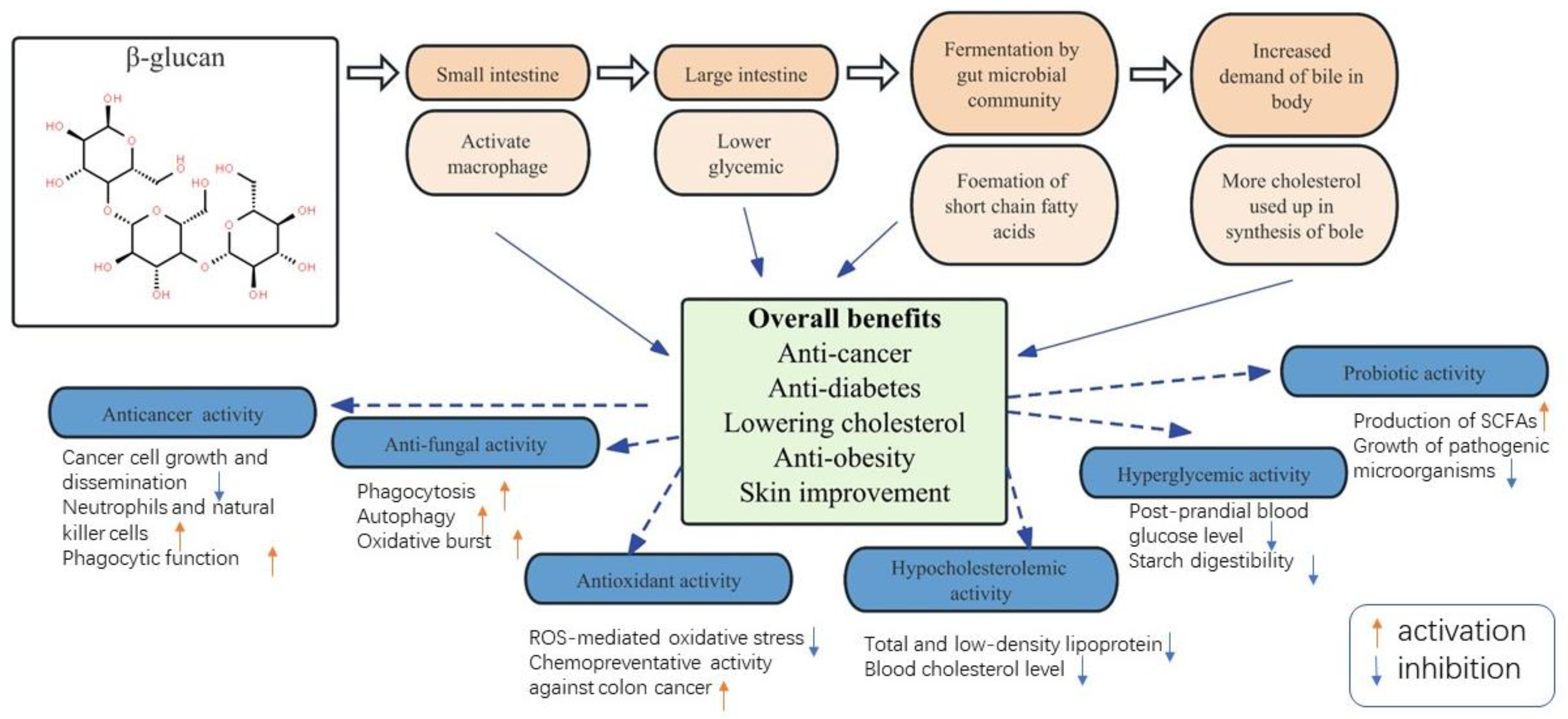 Foods 12 01708 g001 Foods 12 01708 g001