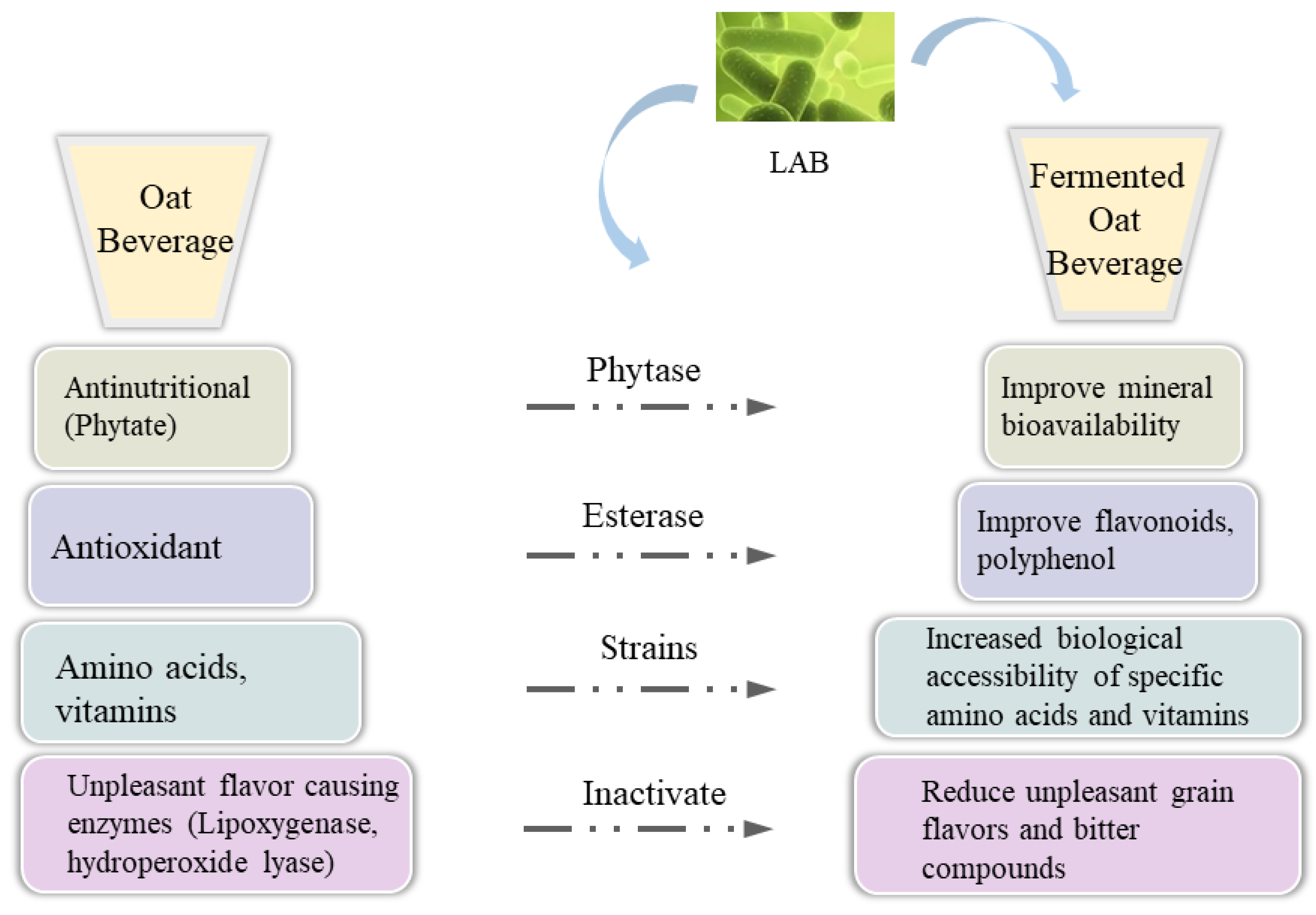 Foods 12 01708 g003 Foods 12 01708 g003