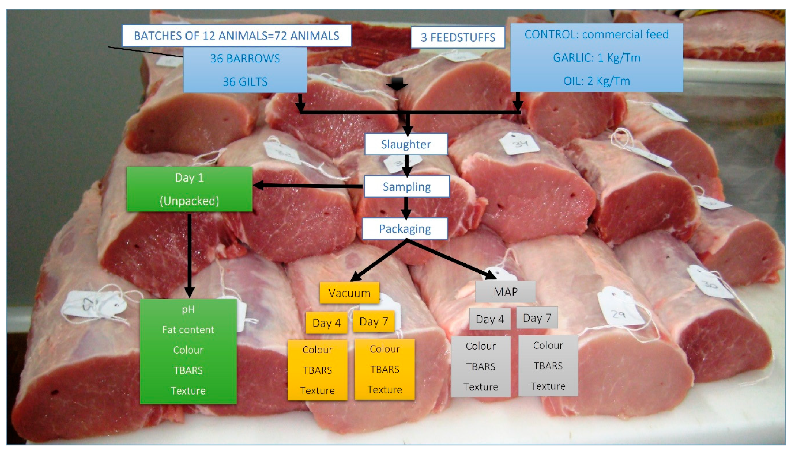 Foods 12 01720 g001 Foods 12 01720 g001