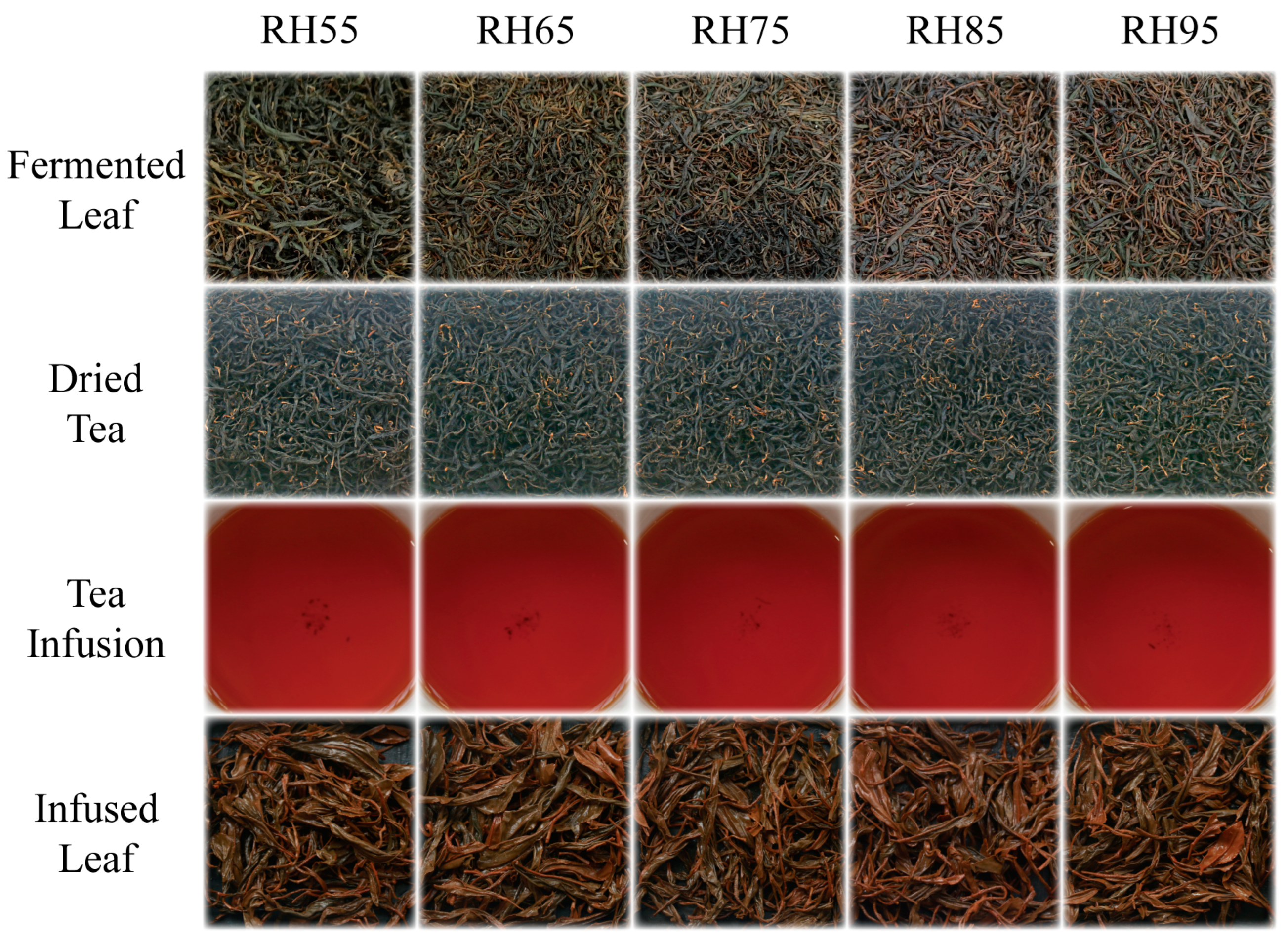 Foods 12 01726 g001 Foods 12 01726 g001