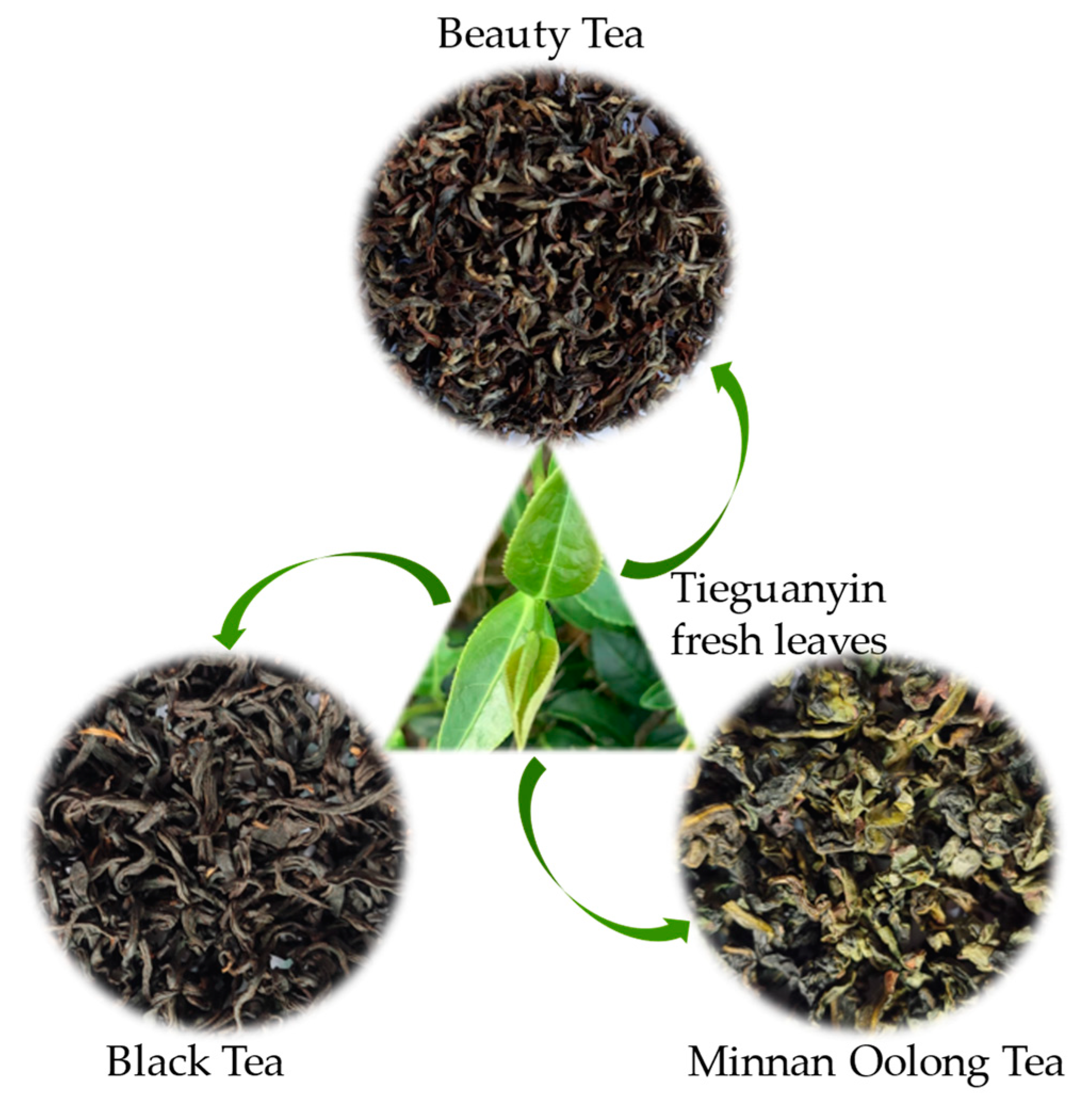 Foods 12 01737 g001 Foods 12 01737 g001