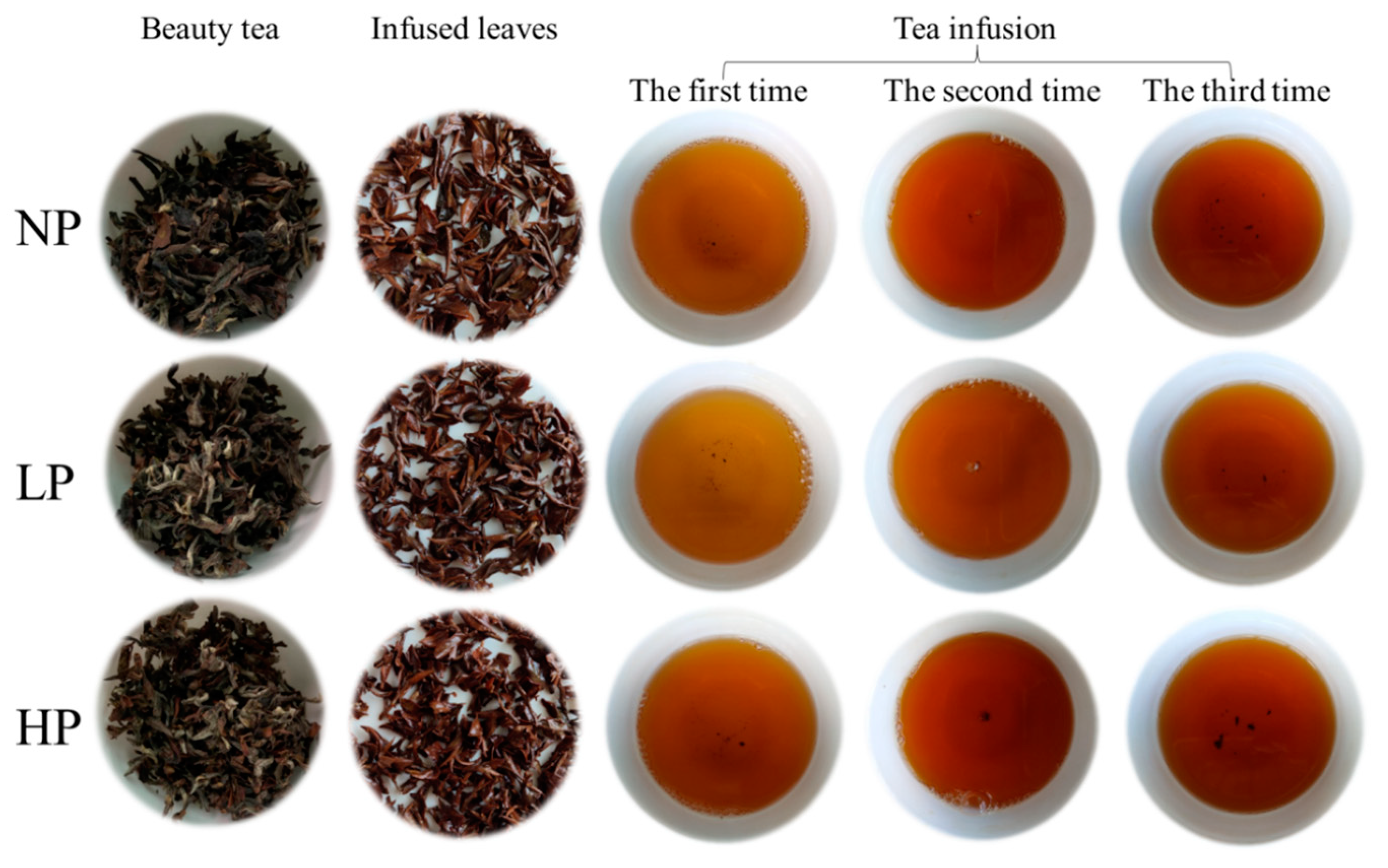 Foods 12 01737 g003 Foods 12 01737 g003