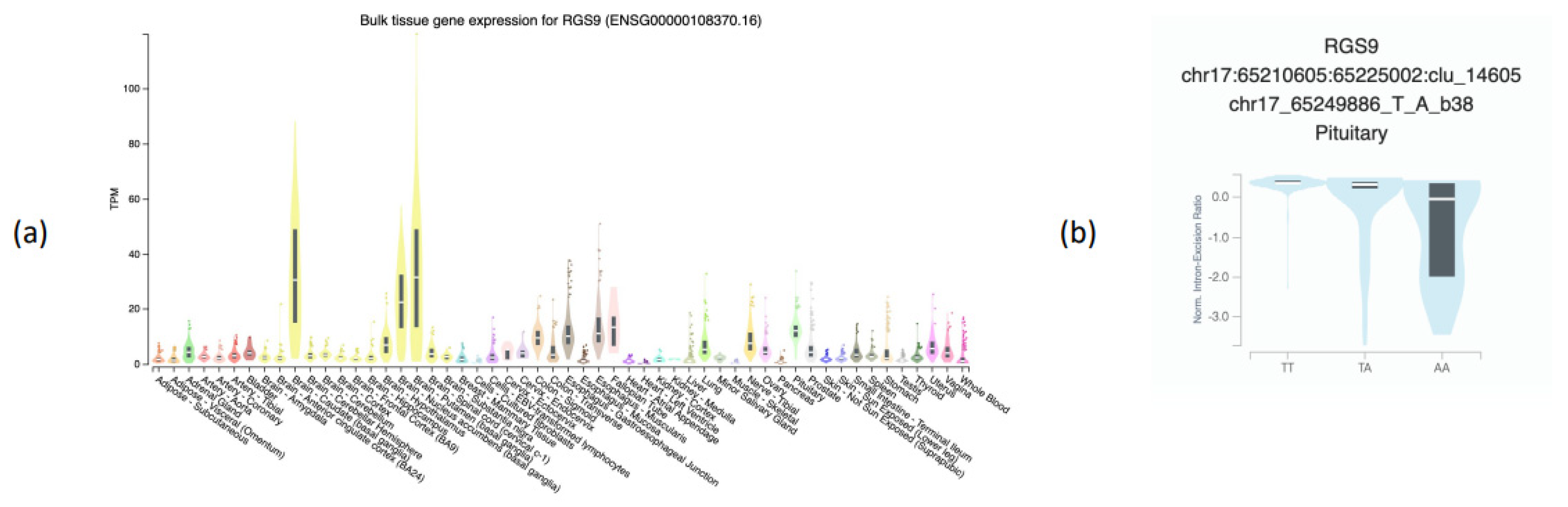 Foods 12 01739 g003 Foods 12 01739 g003