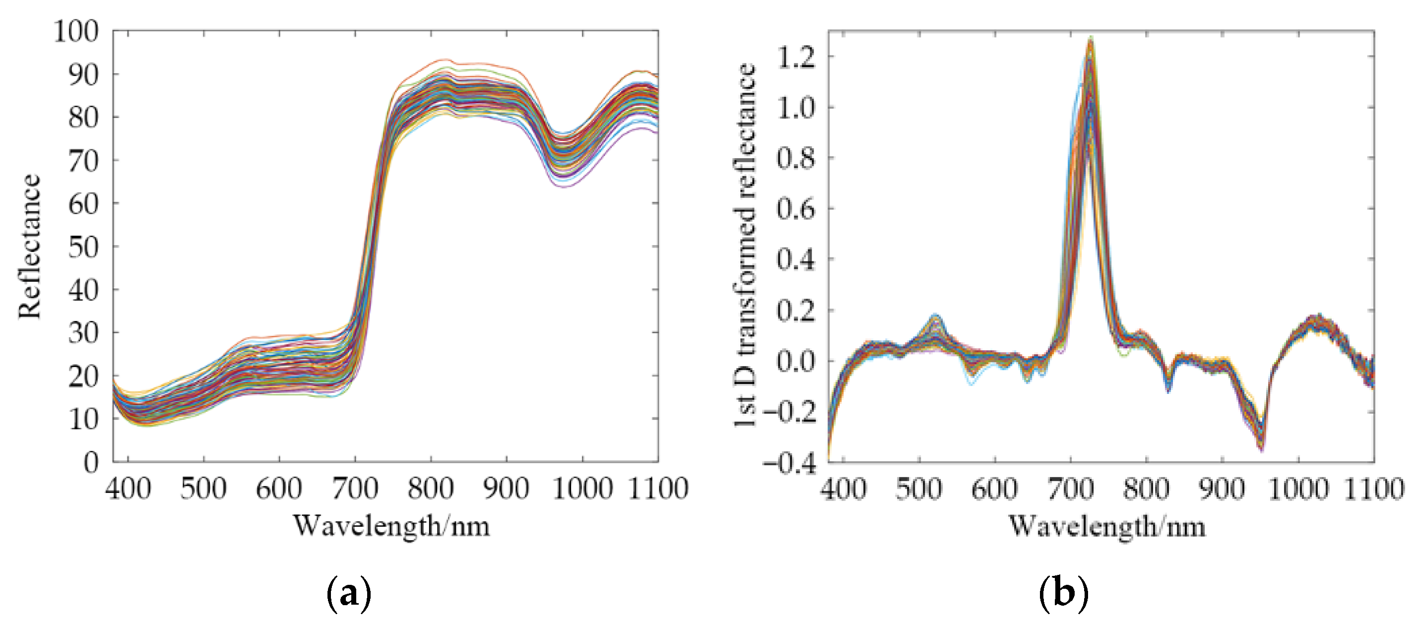 Foods 12 01742 g005 Foods 12 01742 g005