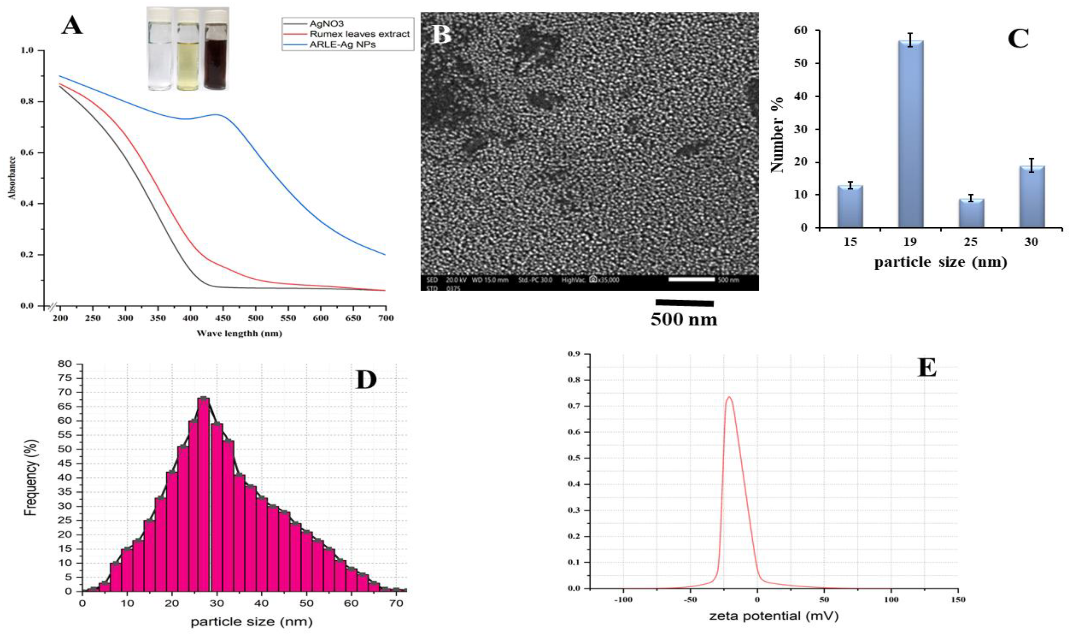 Foods Free Full-Text Silver Nanoparticle Synthesis by Rumexandnbsp;vesicarius Extract and Its Applicability against Foodborne Pathogens