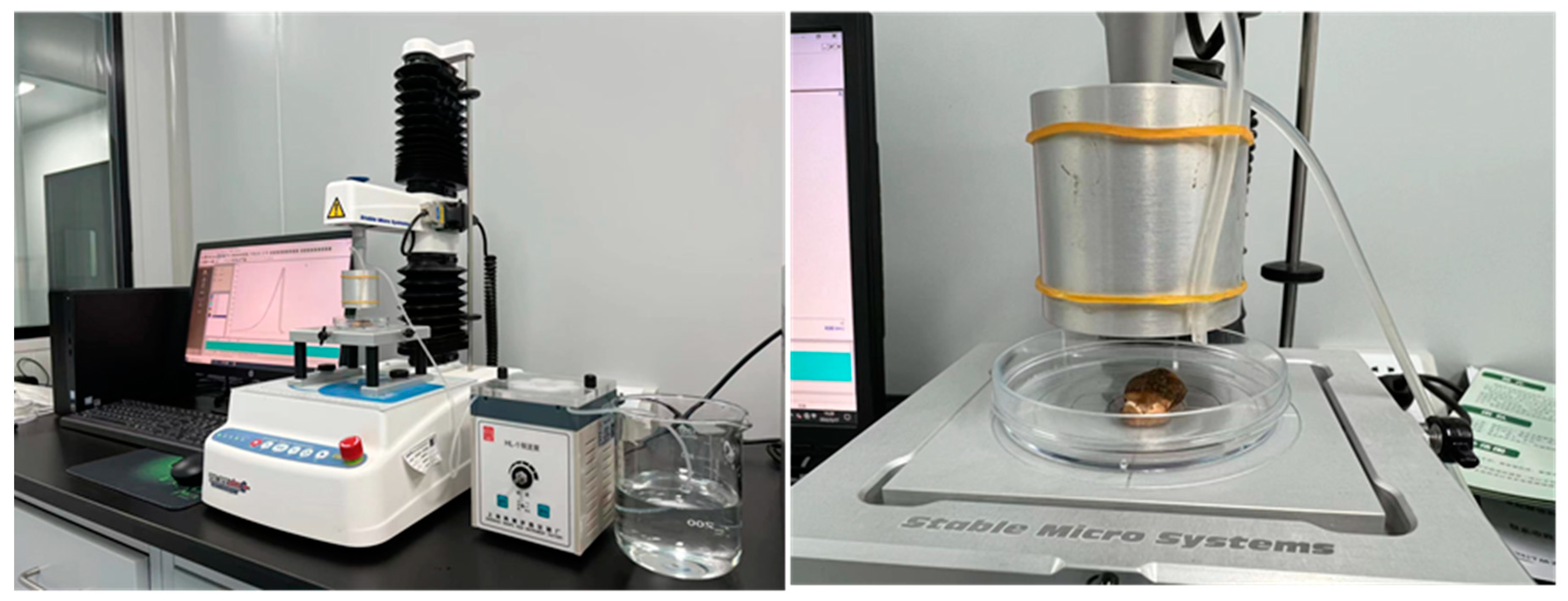 Foods 12 01749 g001 Foods 12 01749 g001