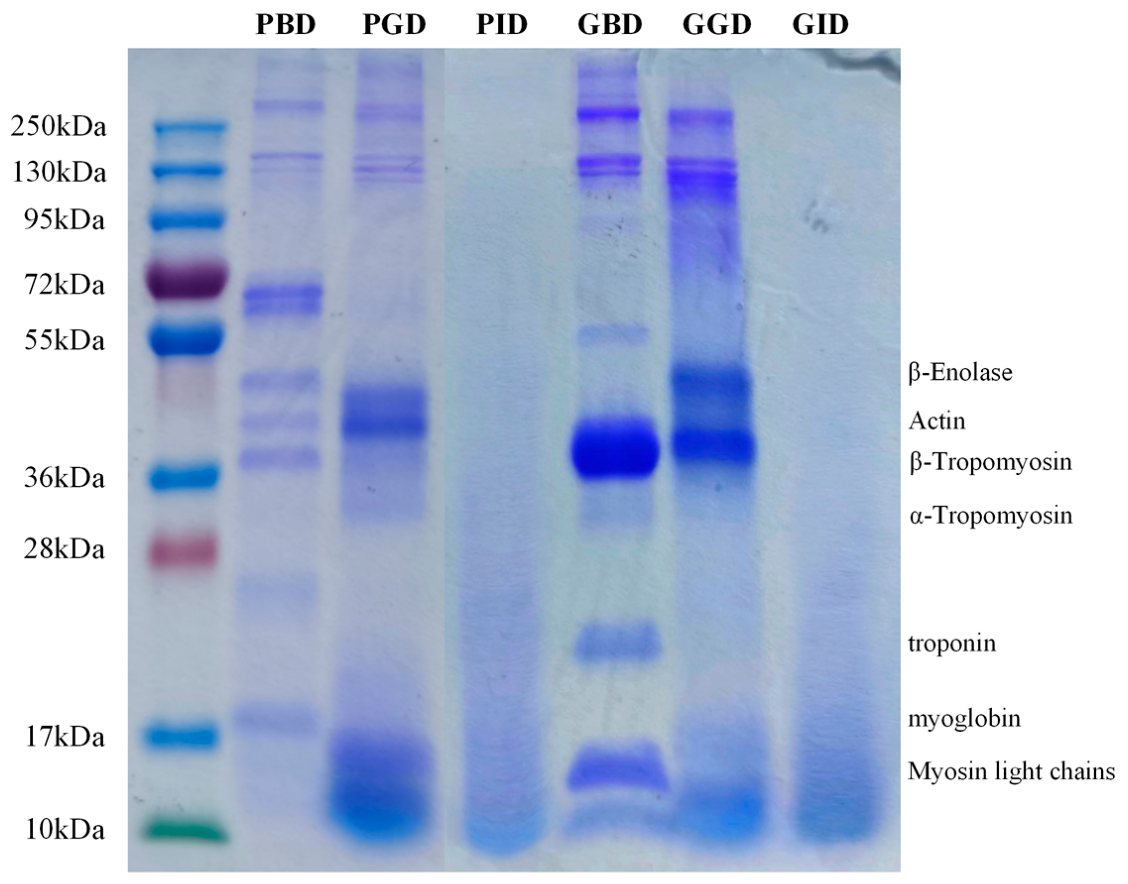 Foods 12 01757 g005 Foods 12 01757 g005