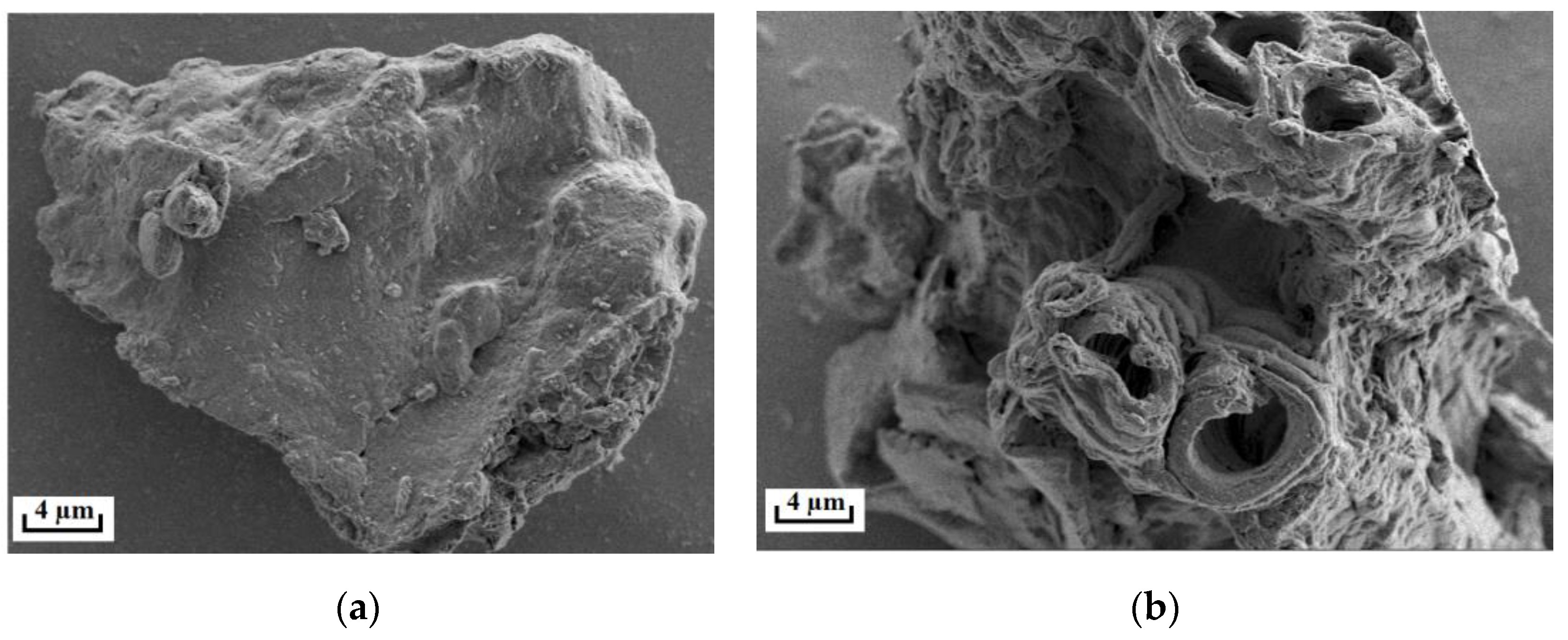 Foods 12 01761 g005 Foods 12 01761 g005