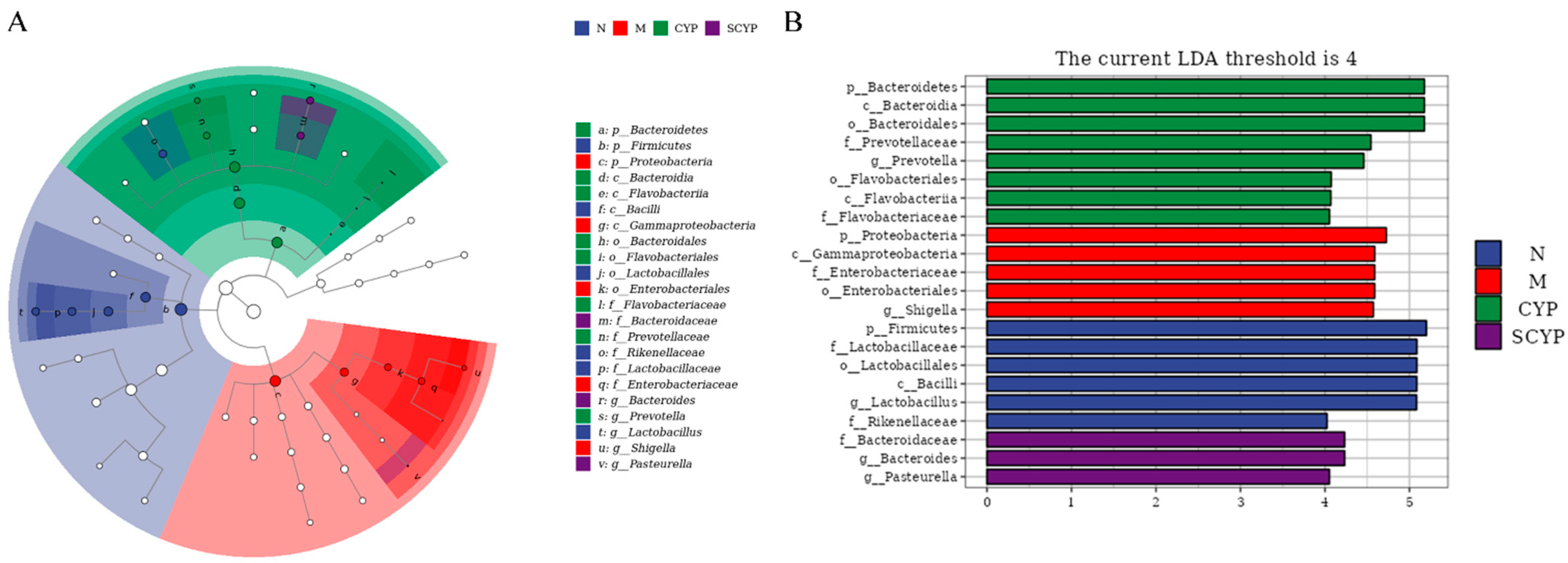 Foods 12 01772 g007 Foods 12 01772 g007