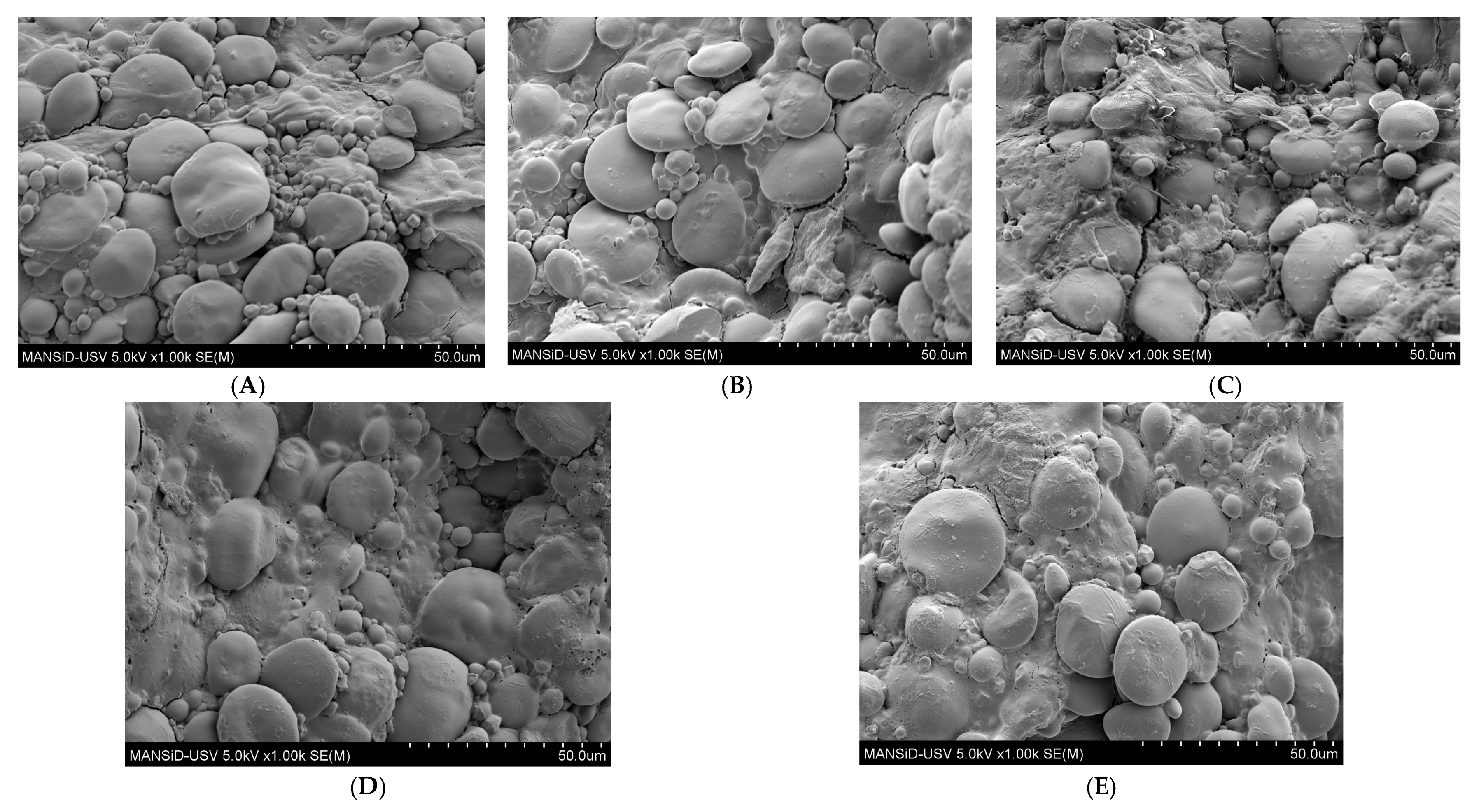Foods 12 01774 g003 Foods 12 01774 g003