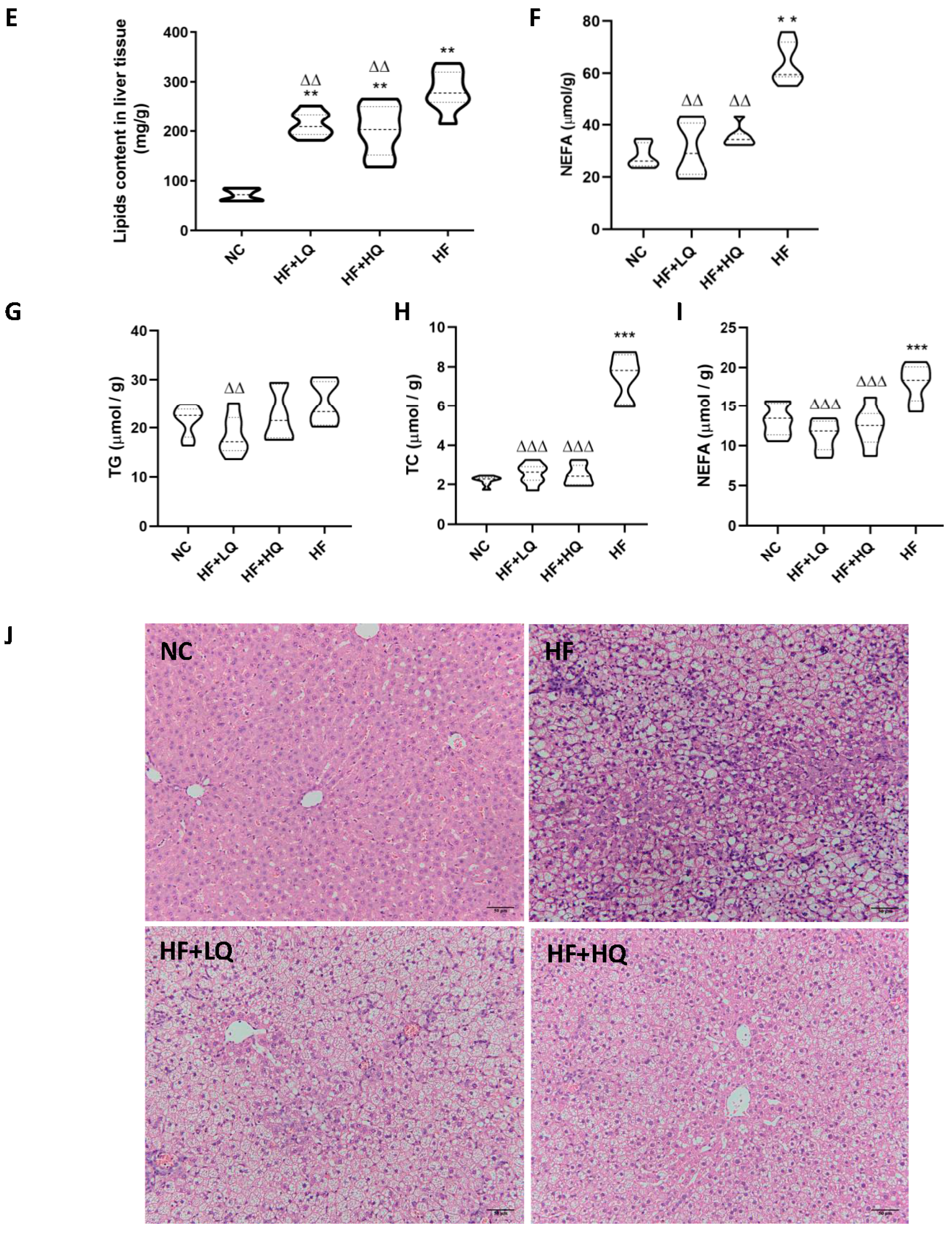 Foods 12 01780 g001b
