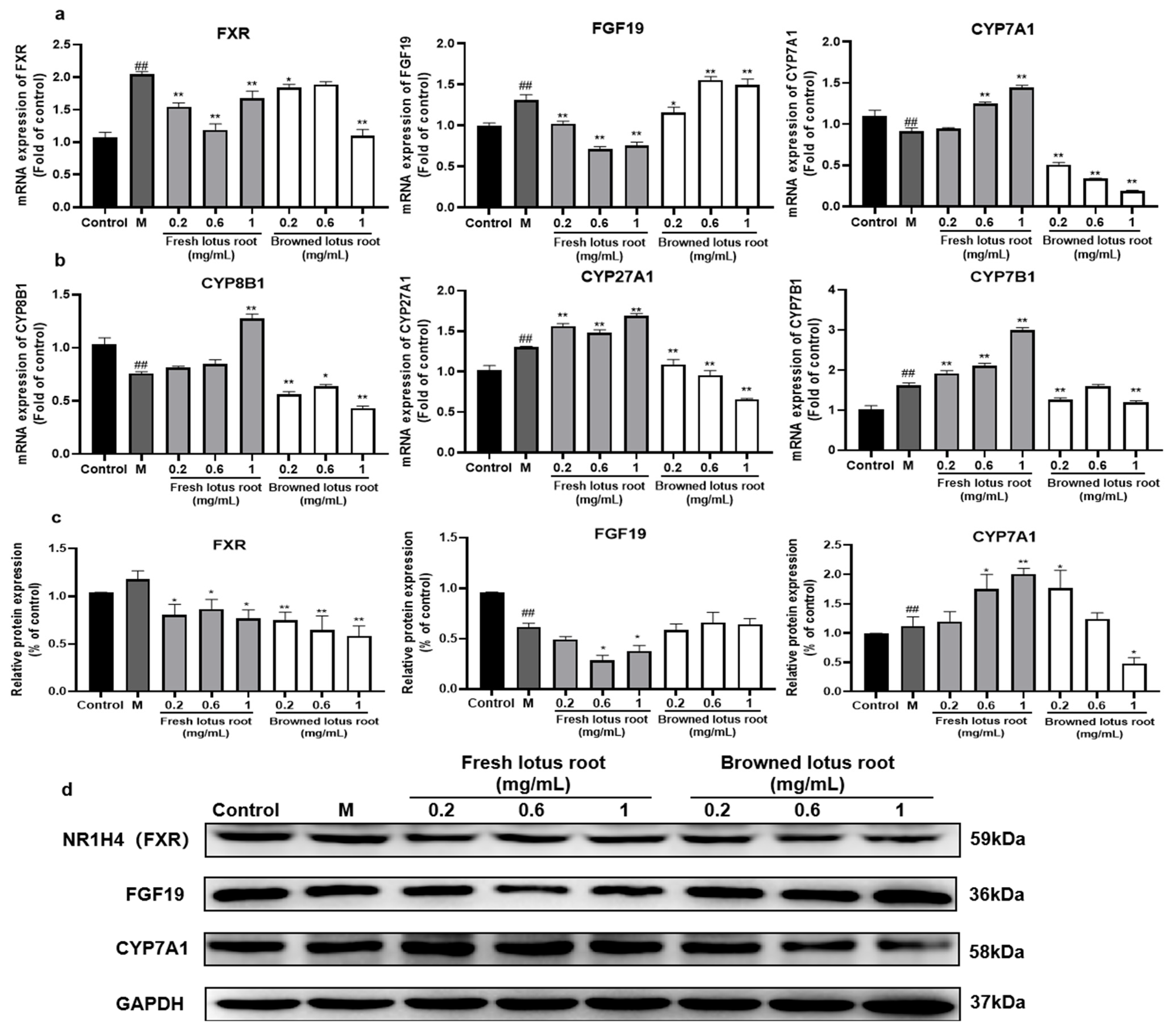 Foods 12 01781 g003 Foods 12 01781 g003
