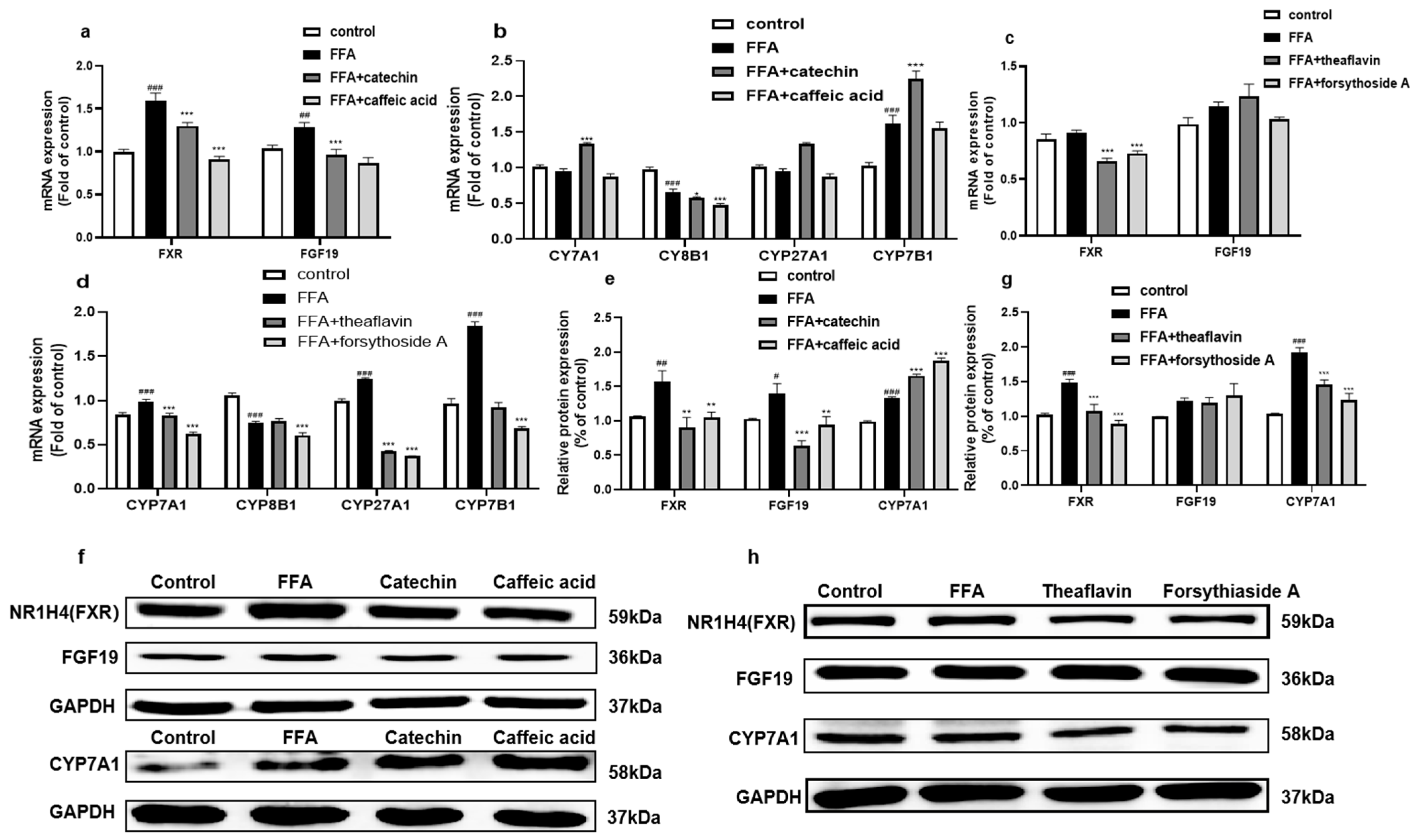 Foods 12 01781 g004 Foods 12 01781 g004