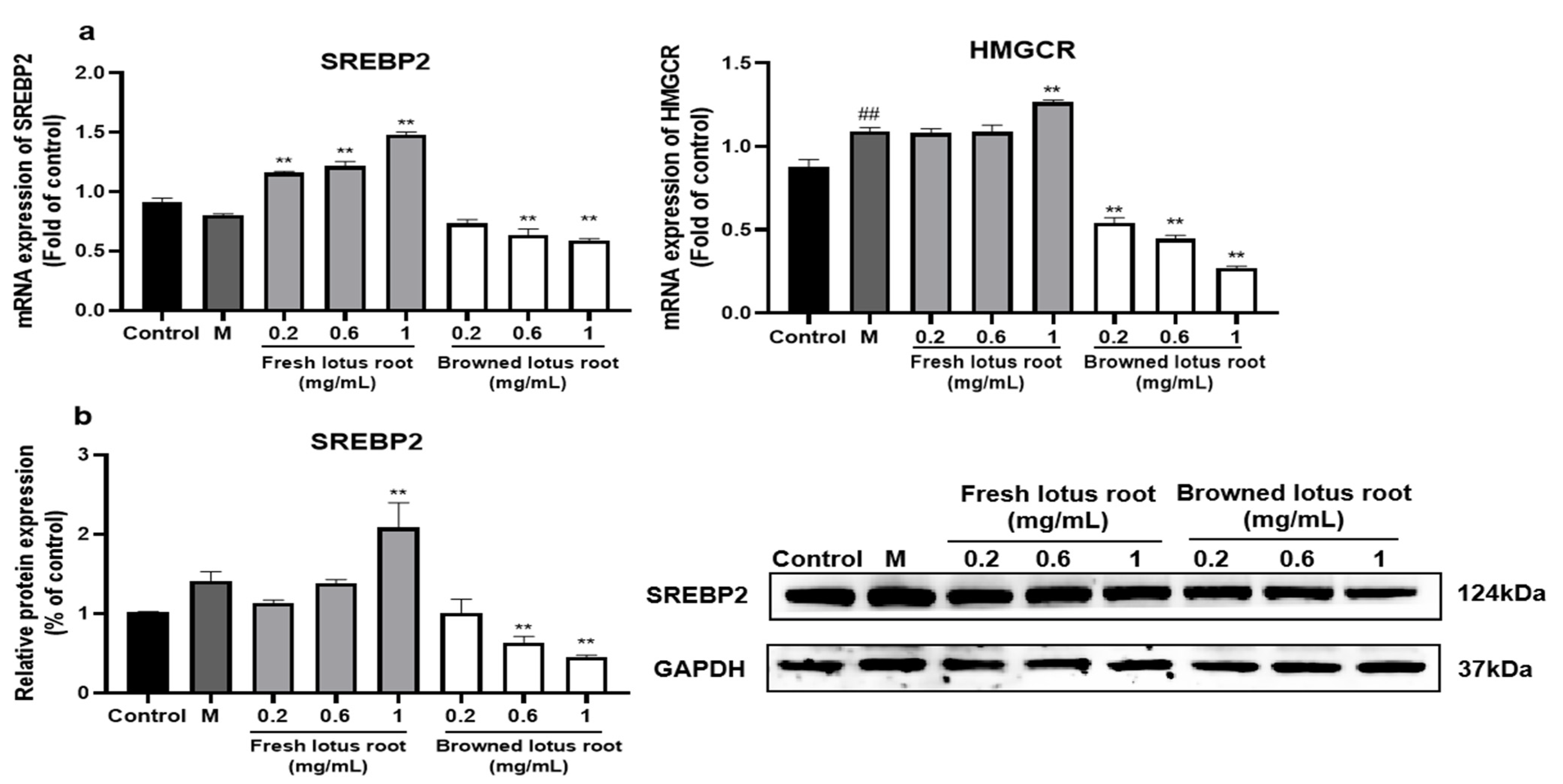 Foods 12 01781 g007 Foods 12 01781 g007