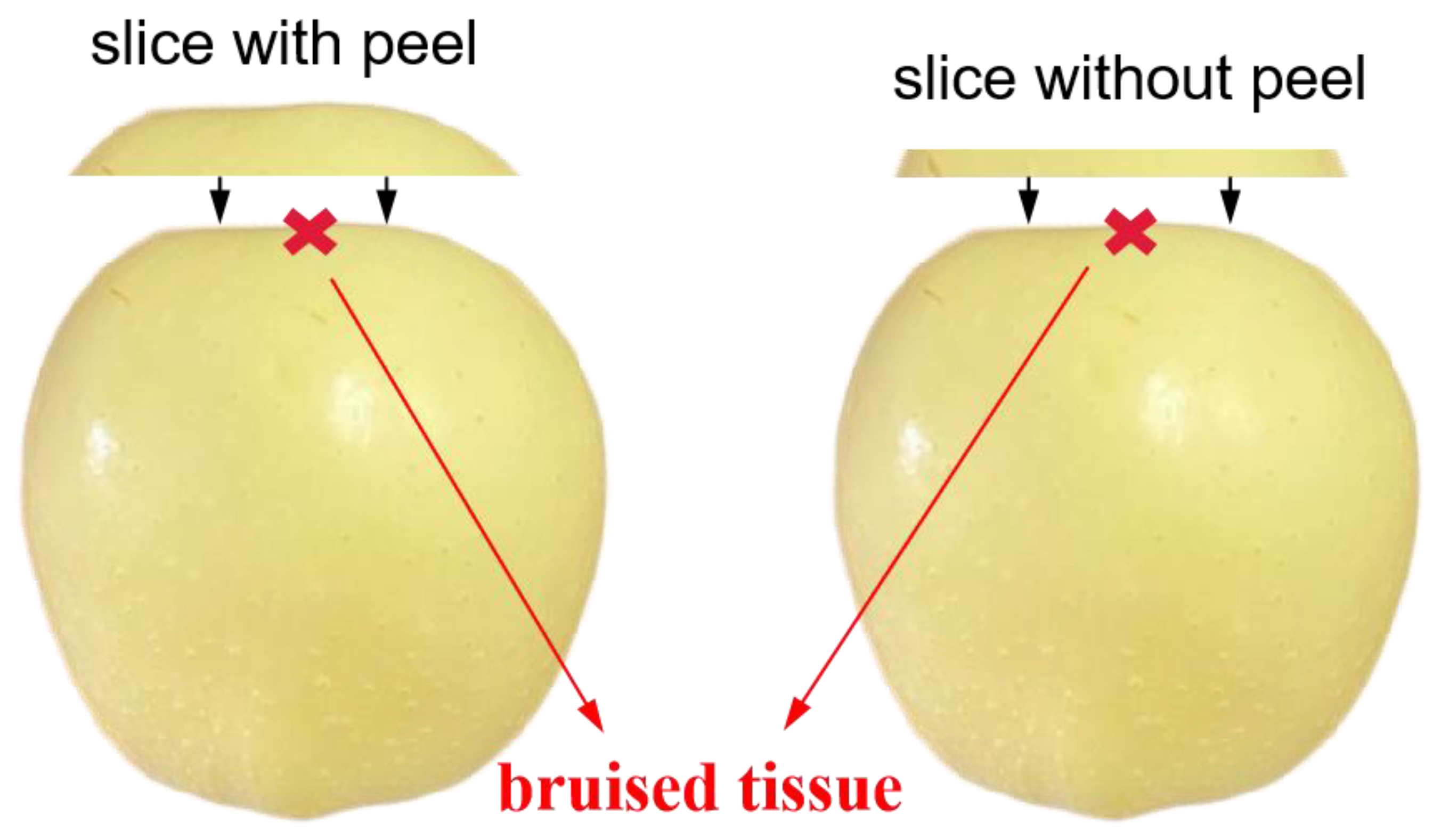 Foods 12 01783 g005 Foods 12 01783 g005