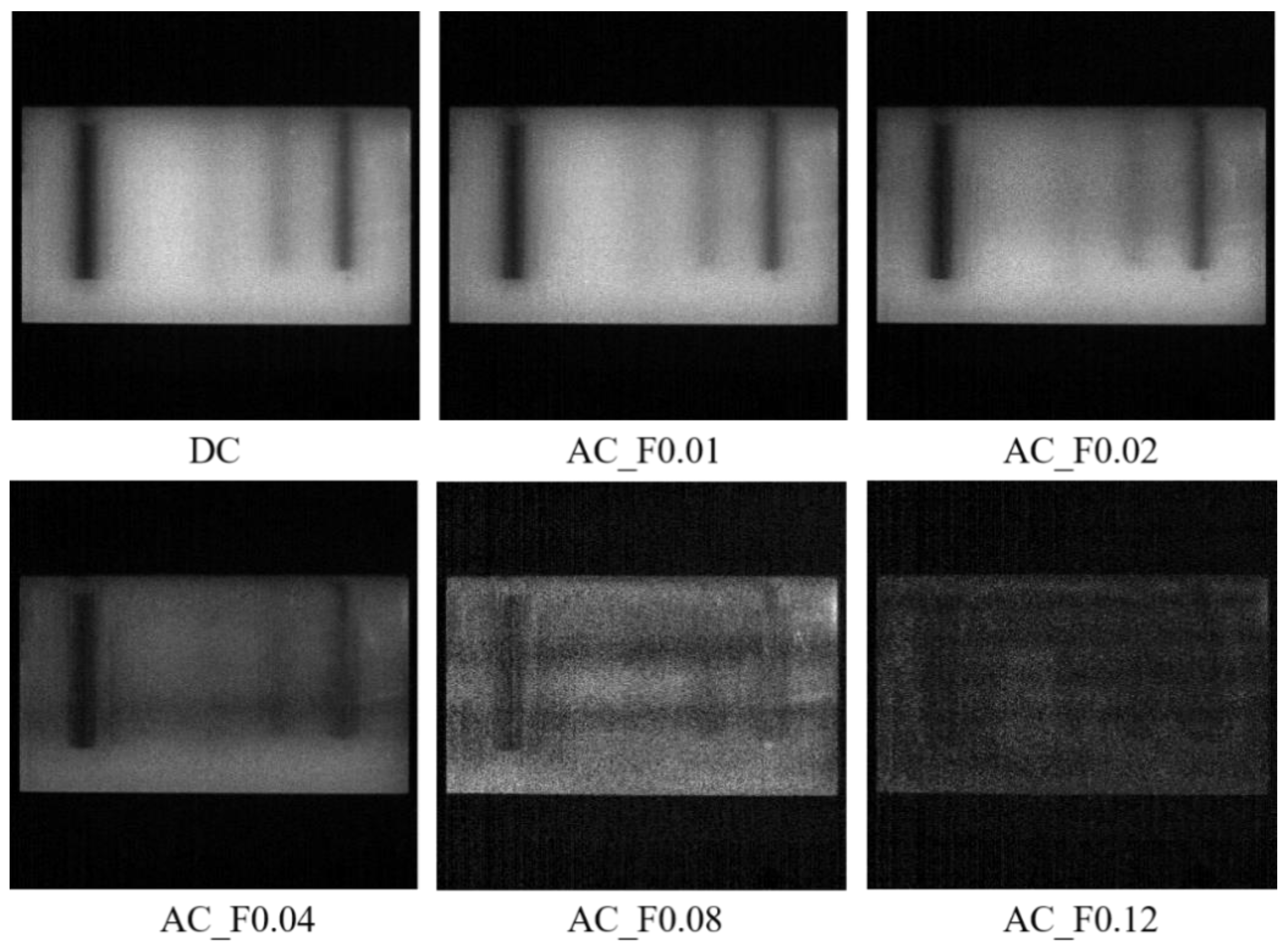 Foods 12 01783 g006 Foods 12 01783 g006