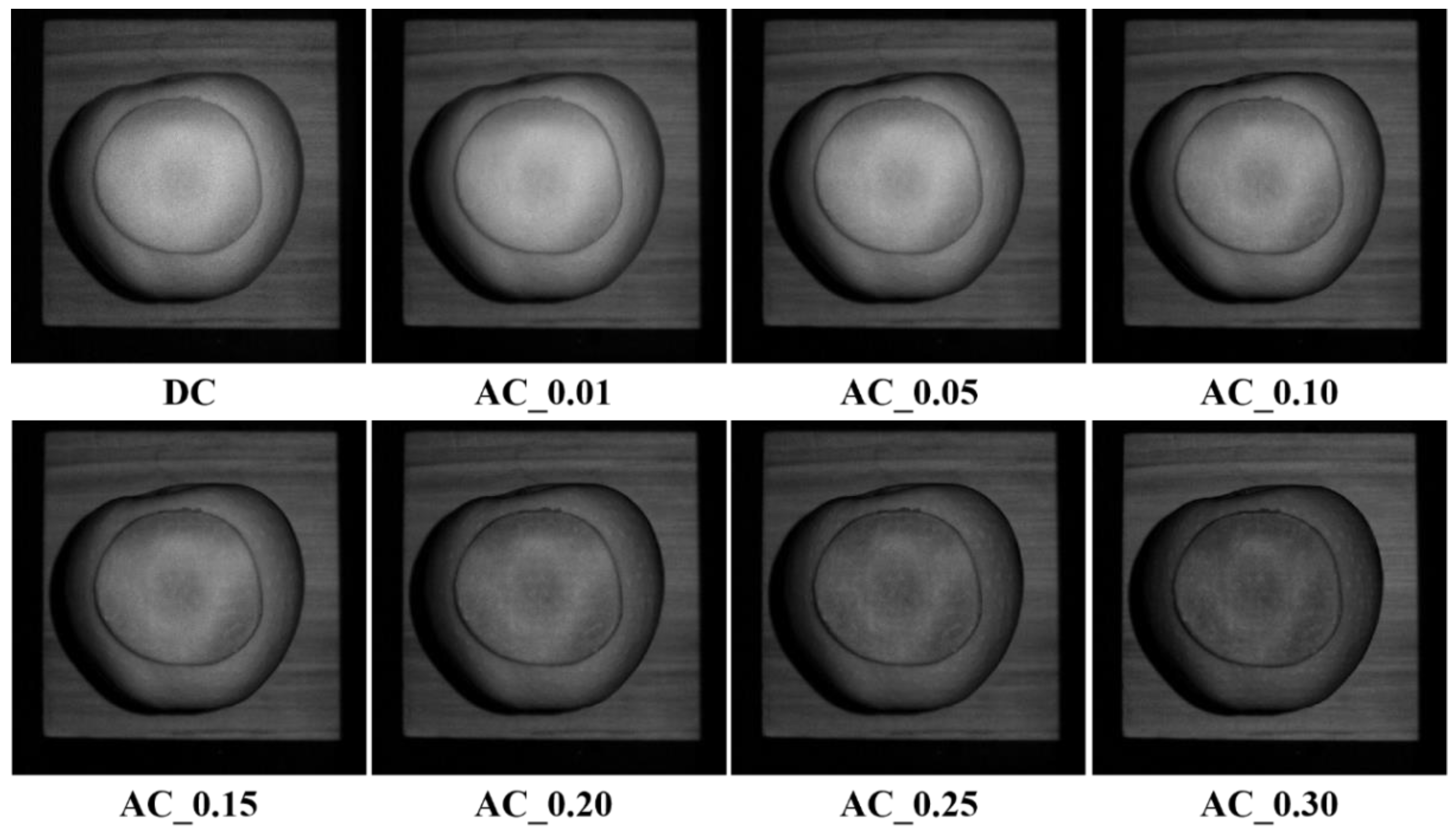 Foods 12 01783 g010 Foods 12 01783 g010