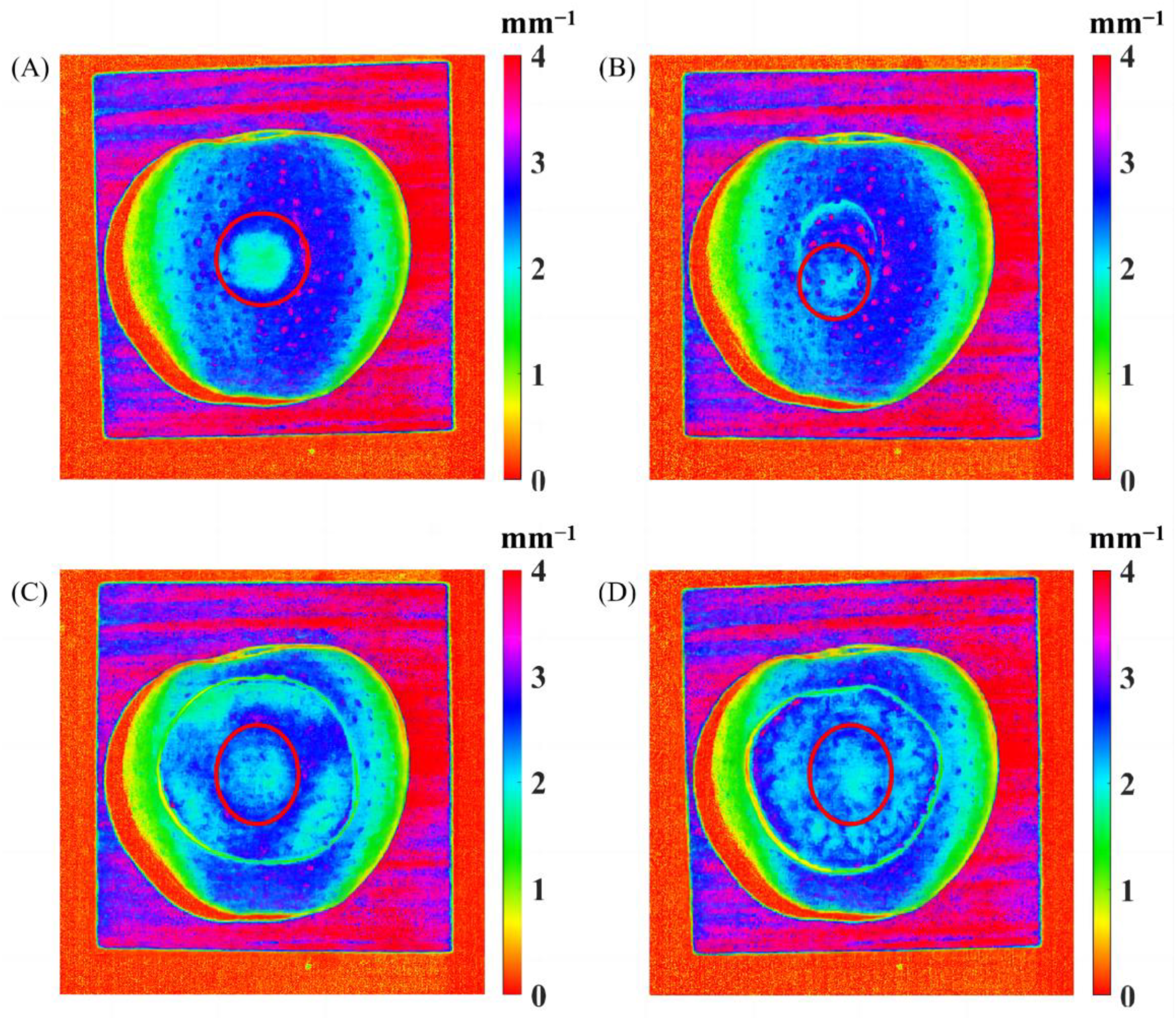 Foods 12 01783 g011 Foods 12 01783 g011