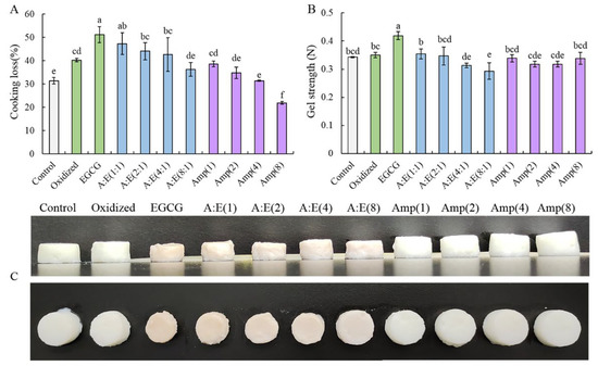 Changes in the Quality of Myofibrillar Protein Gel Damaged