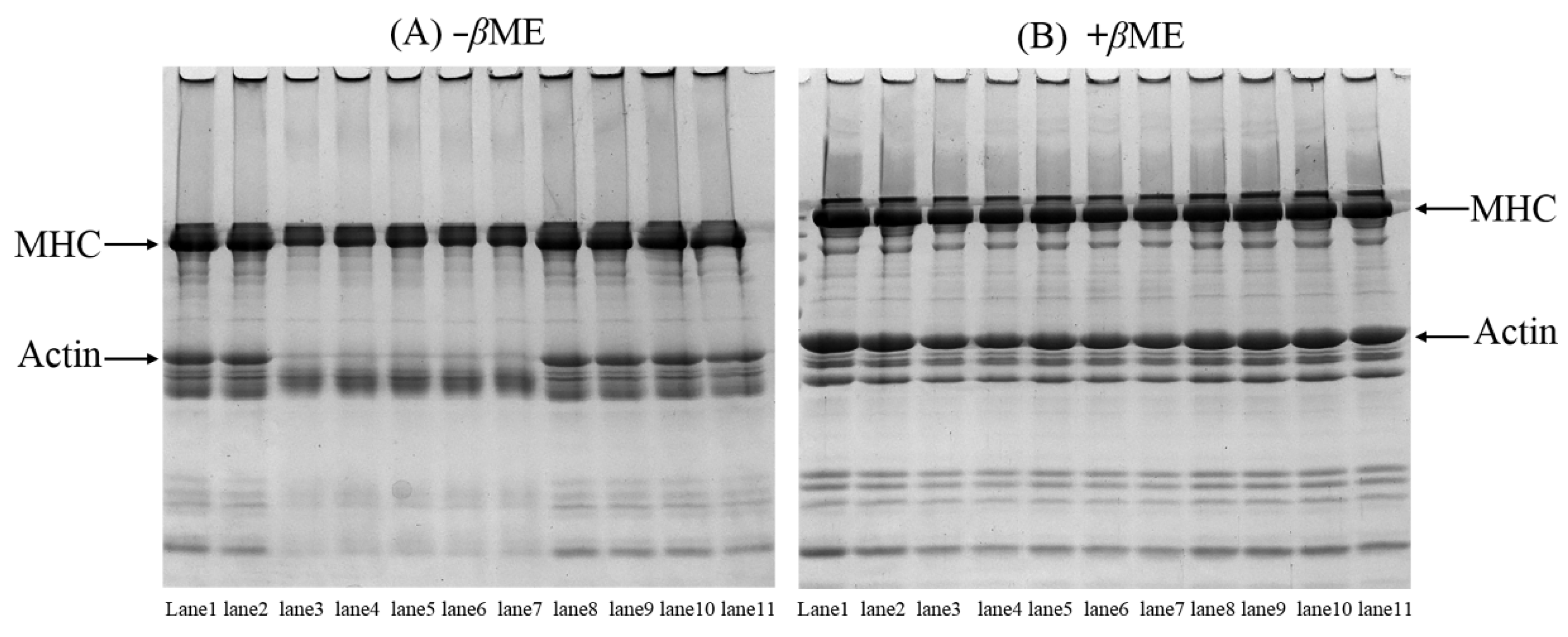 Foods 12 01790 g004 Foods 12 01790 g004