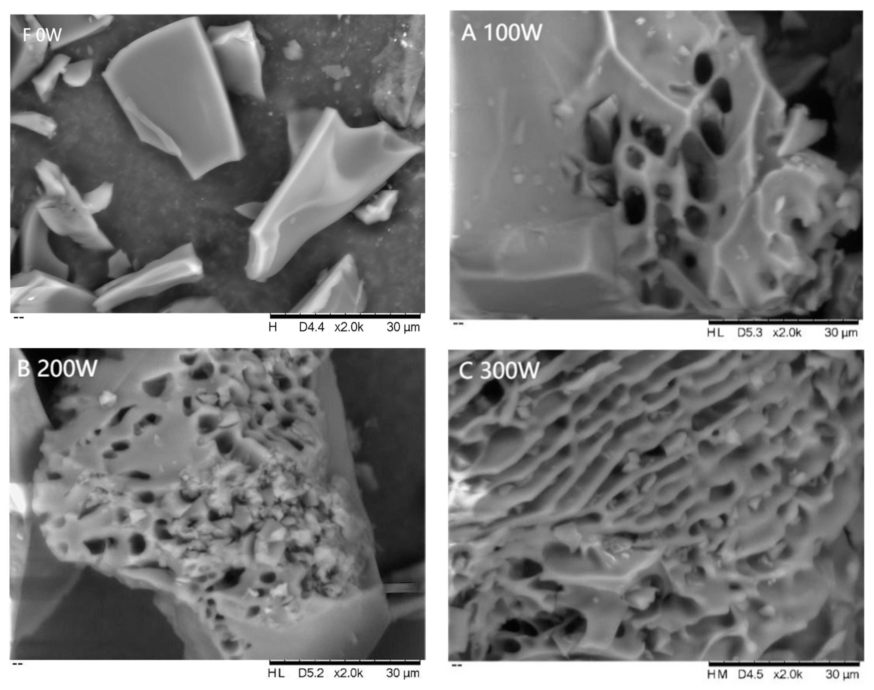 Foods 12 01792 g004a Foods 12 01792 g004a