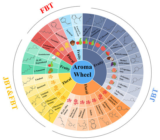 Direct Observation of Clay Fabrics and Clay Pores in