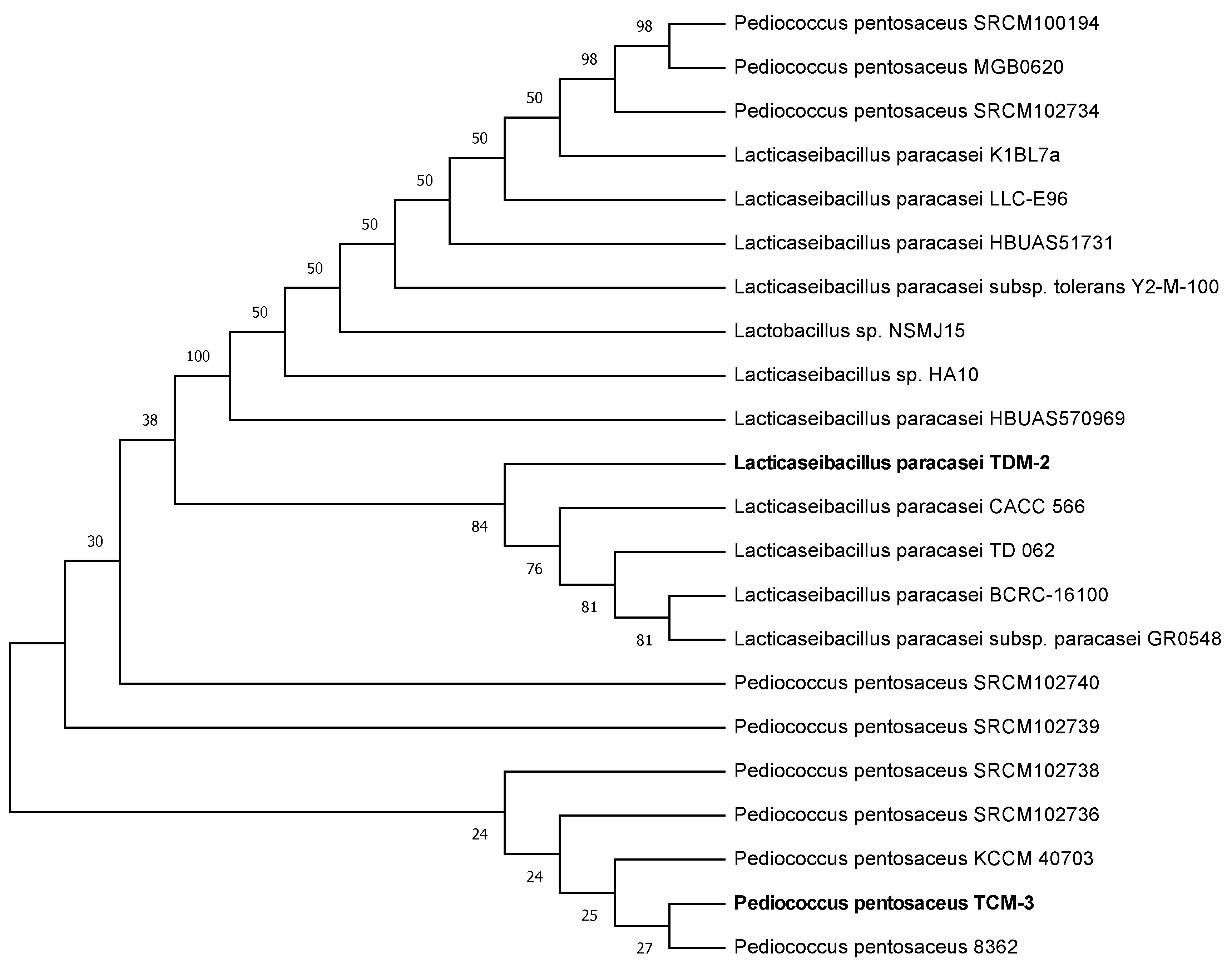 Foods 12 01814 g001 Foods 12 01814 g001