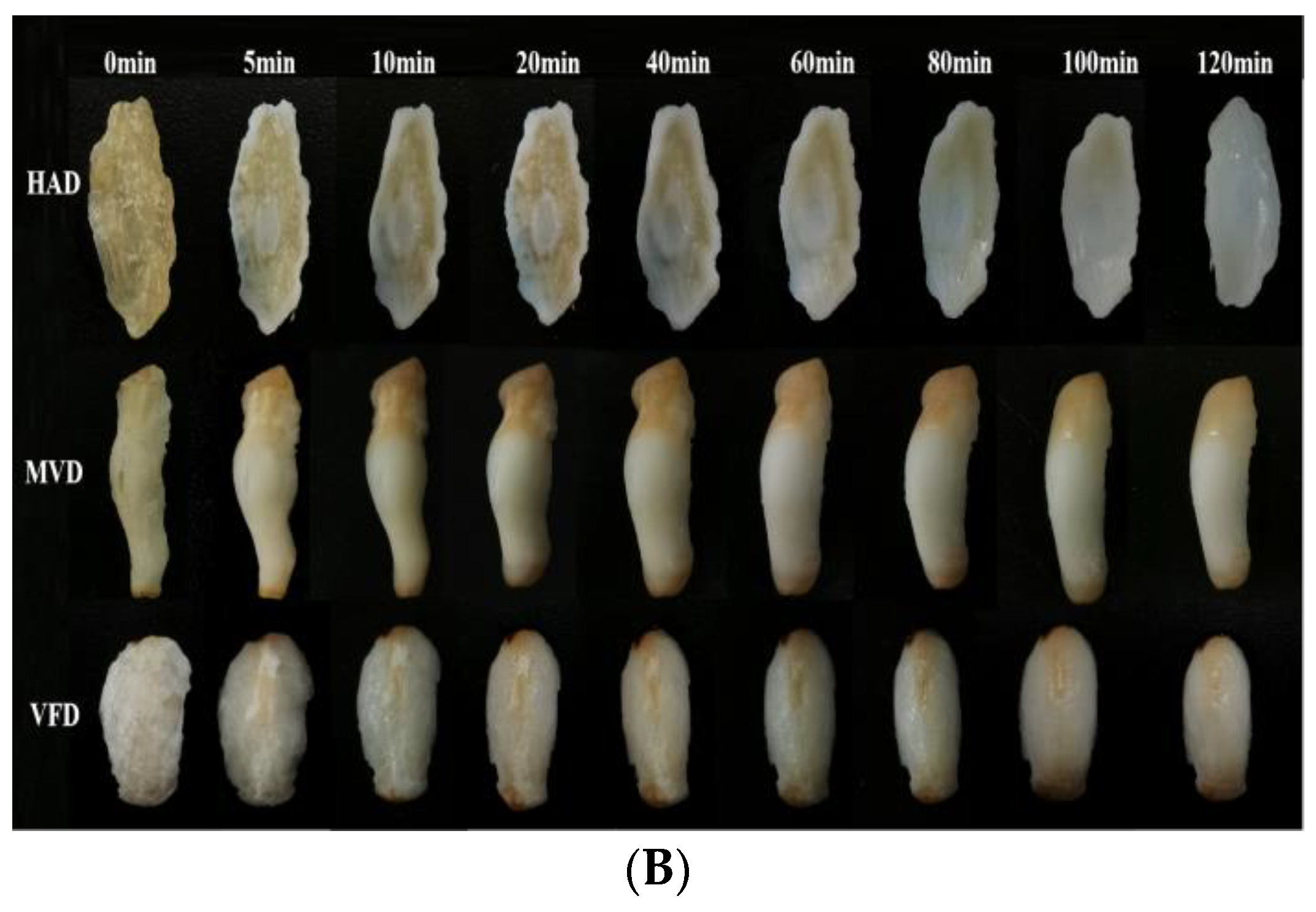 Foods 12 01817 g001b Foods 12 01817 g001b