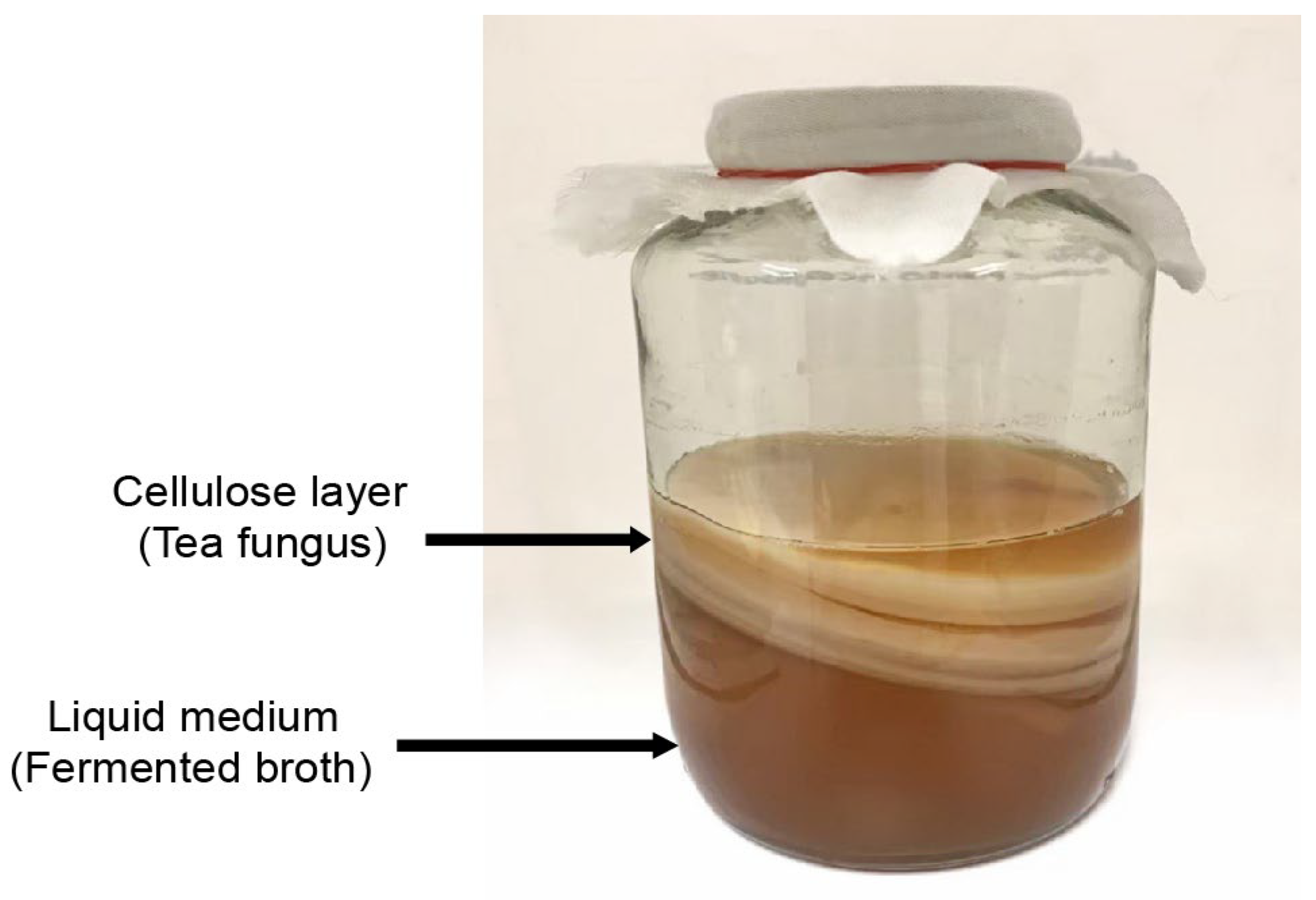 Foods 12 01818 g001 Foods 12 01818 g001