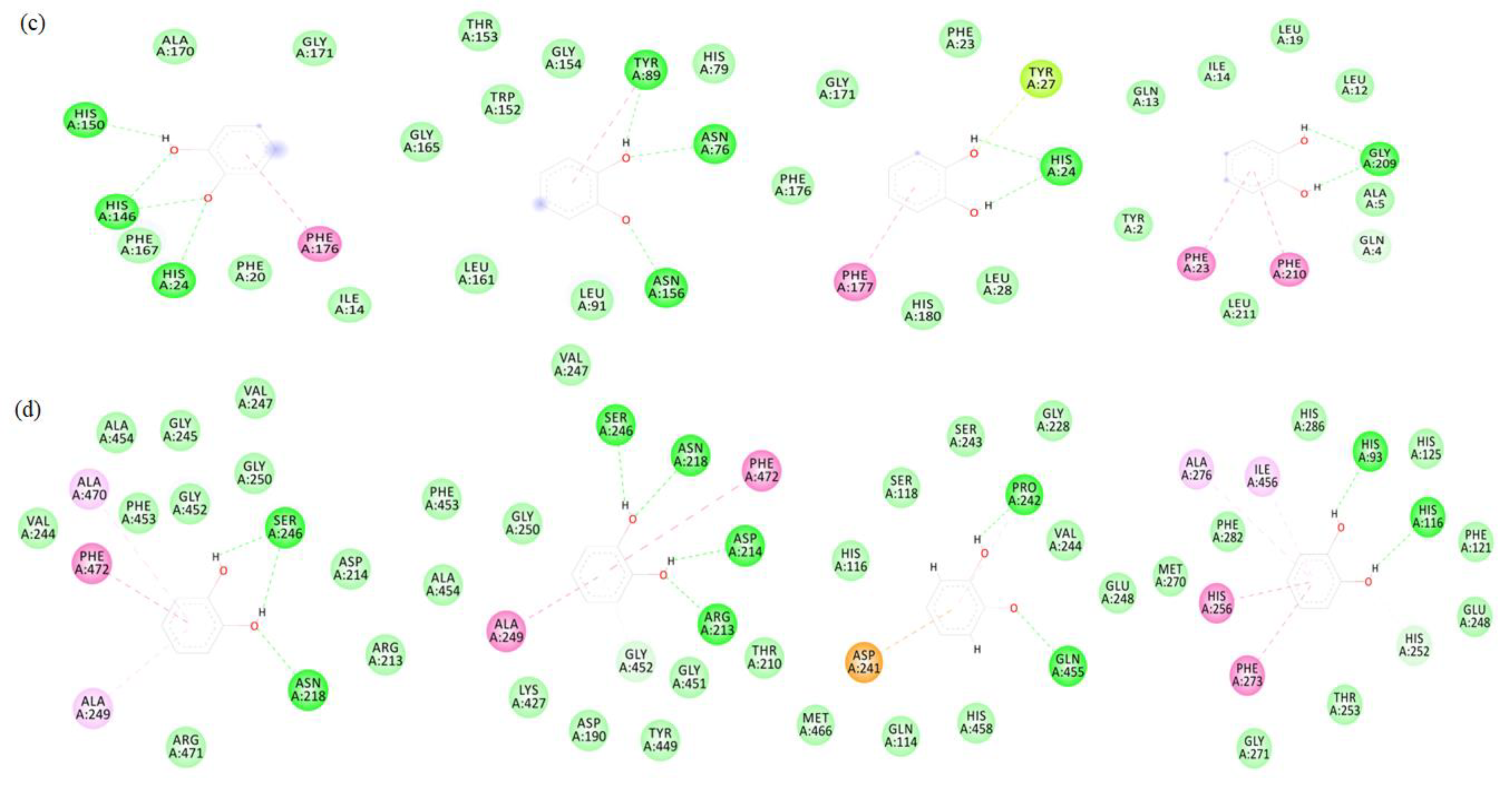 Foods 12 01820 g007b Foods 12 01820 g007b