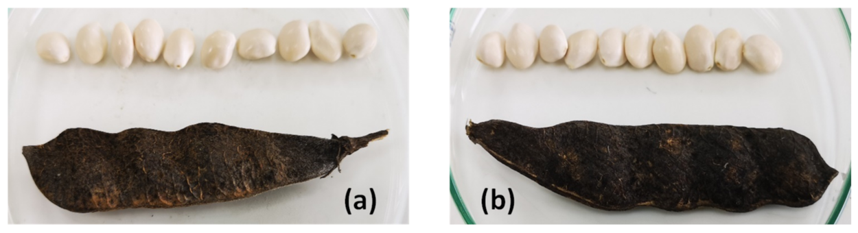 Foods 12 01841 g001 Foods 12 01841 g001