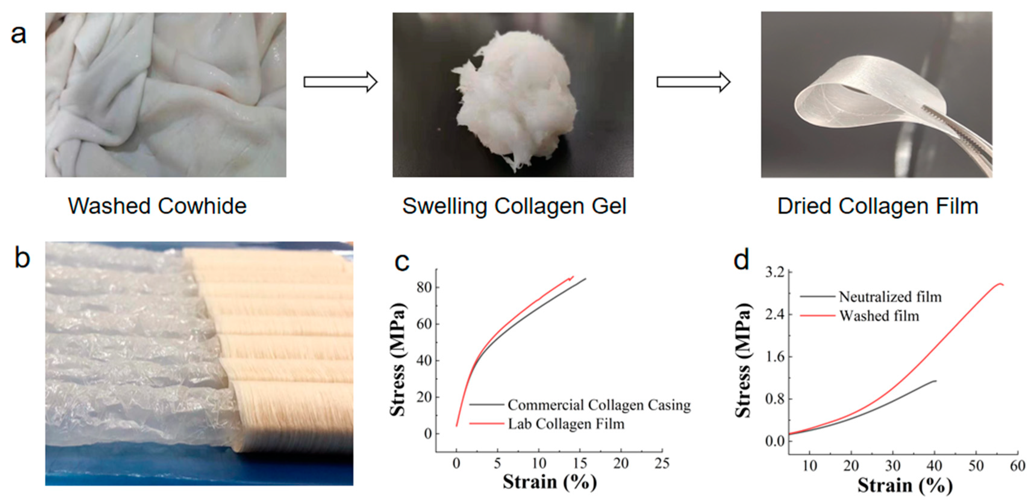 Foods 12 01847 g002 Foods 12 01847 g002
