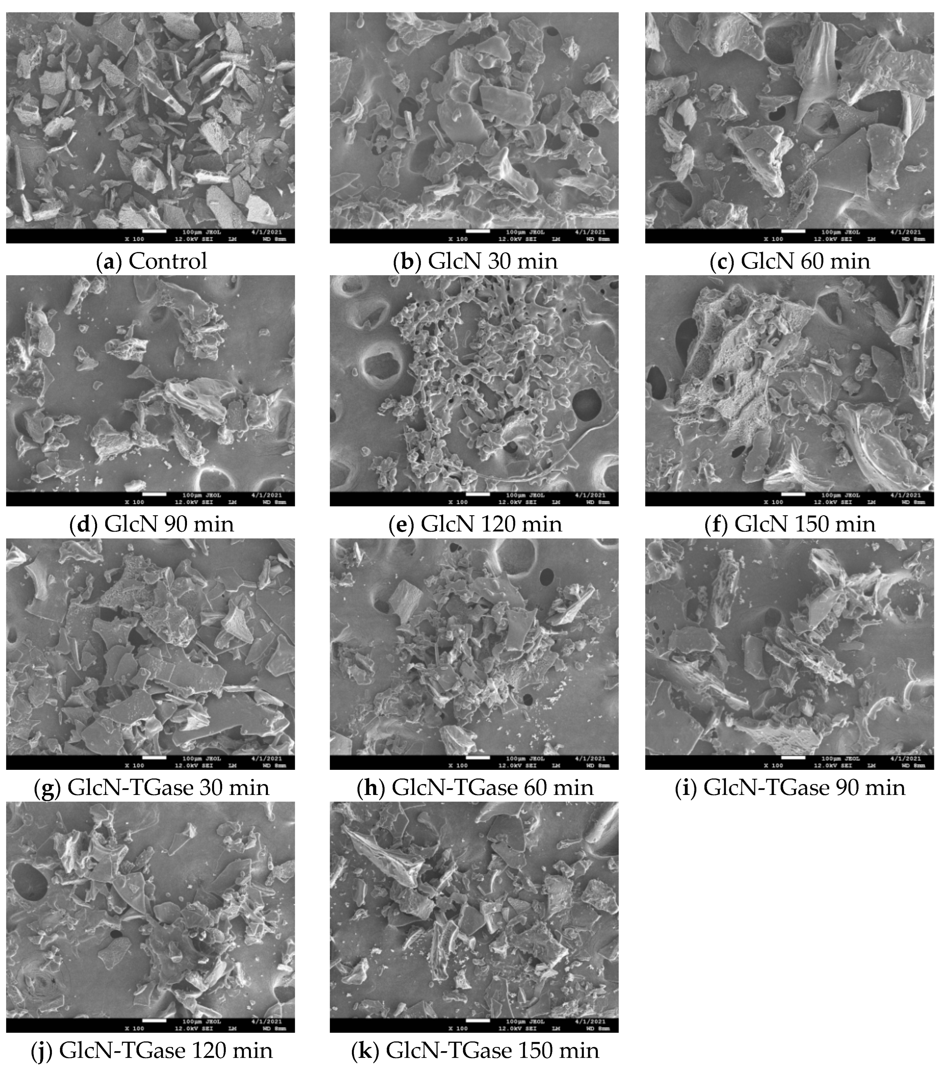Foods 12 01849 g003 Foods 12 01849 g003