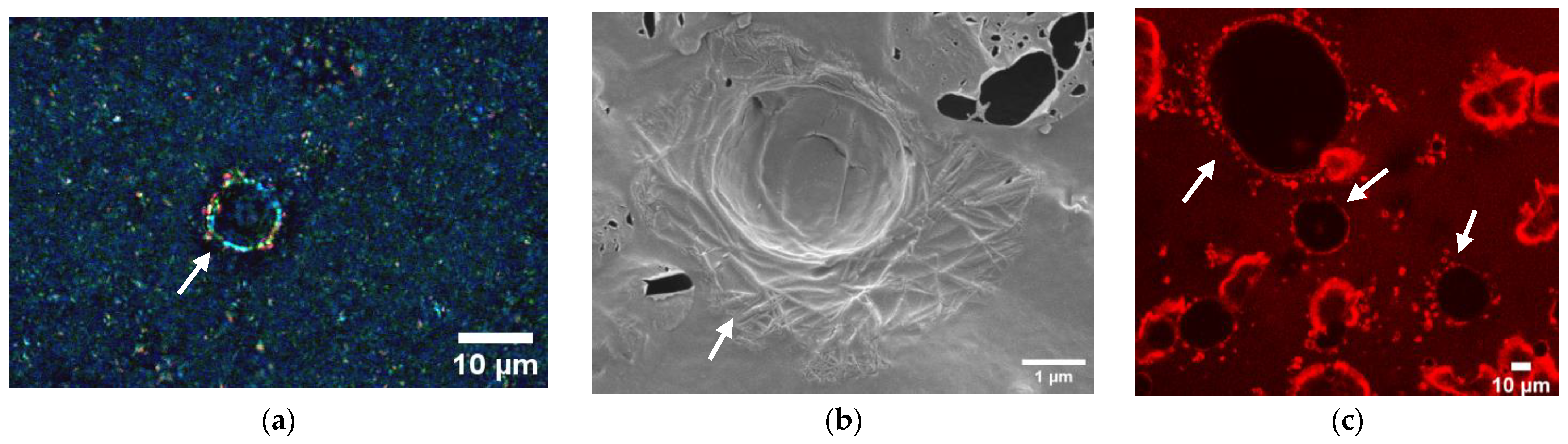 Foods 12 01850 g006a Foods 12 01850 g006a