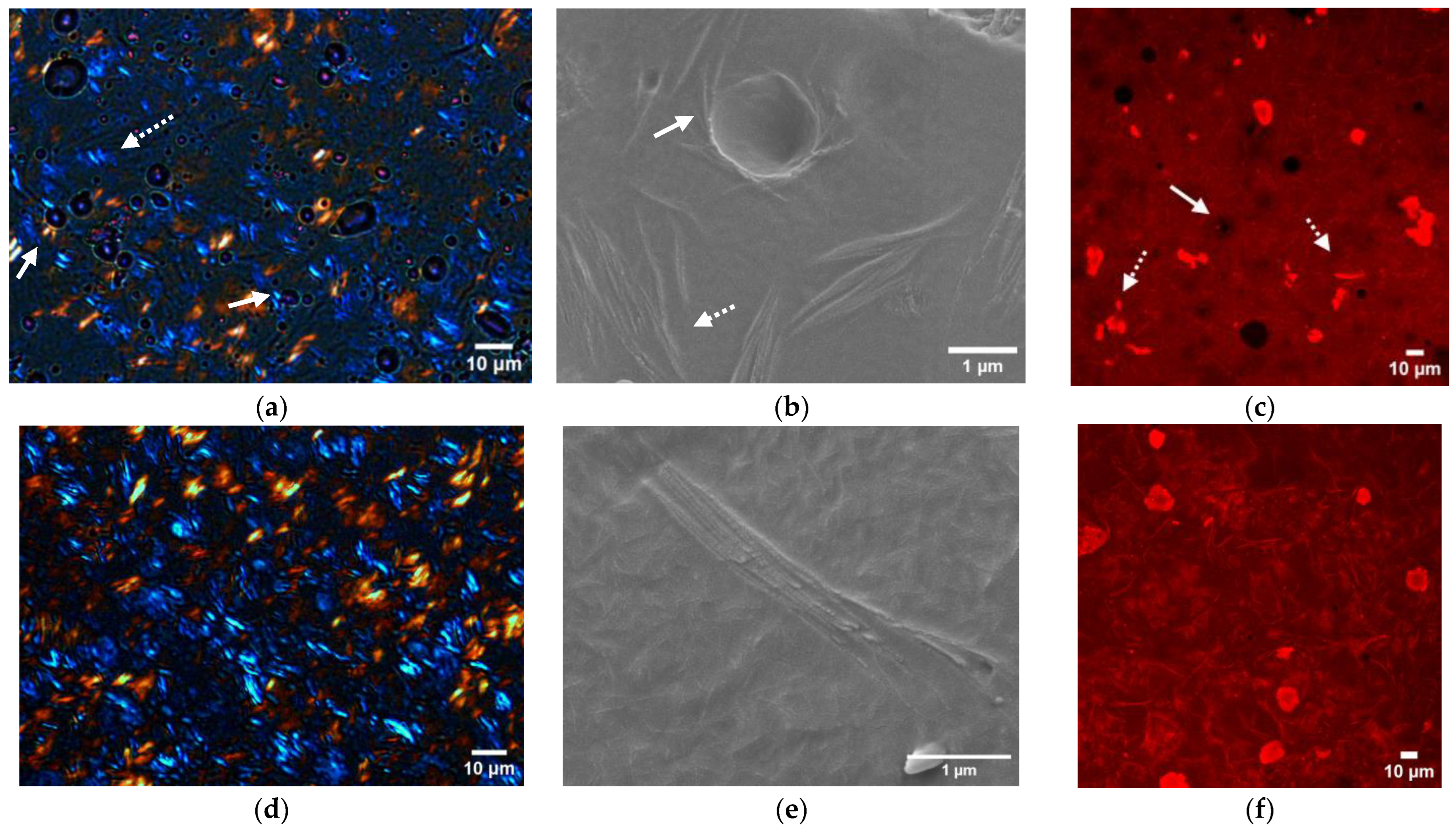 Foods 12 01850 g007 Foods 12 01850 g007